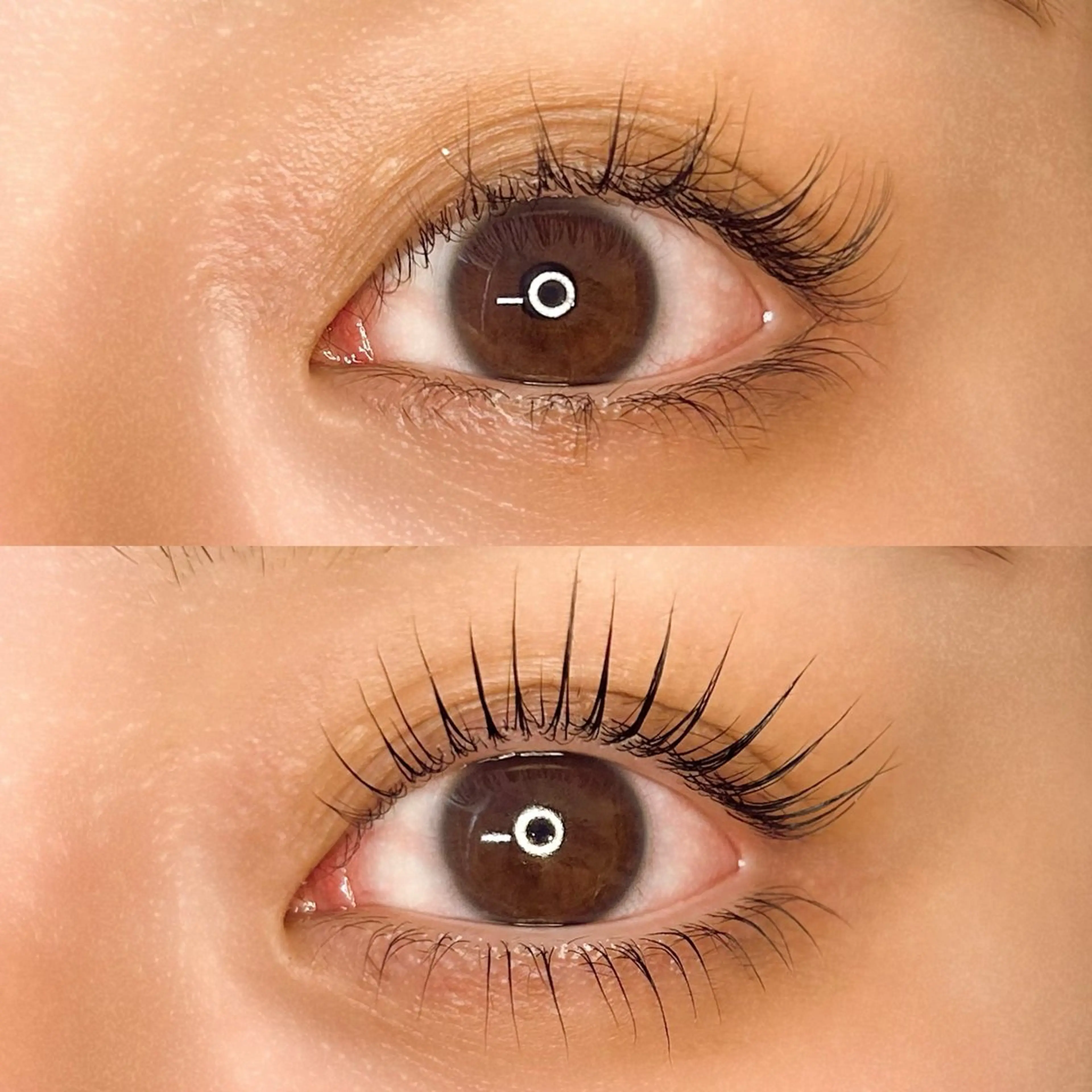 マツエク・マツパ パリジェンヌラッシュリフト まつげパーマ 下まつげエクステ 一重×まつ毛パーマ eyelash salon alb.所属・まつげパーマalb. tomokaのマツエク・マツパデザイン