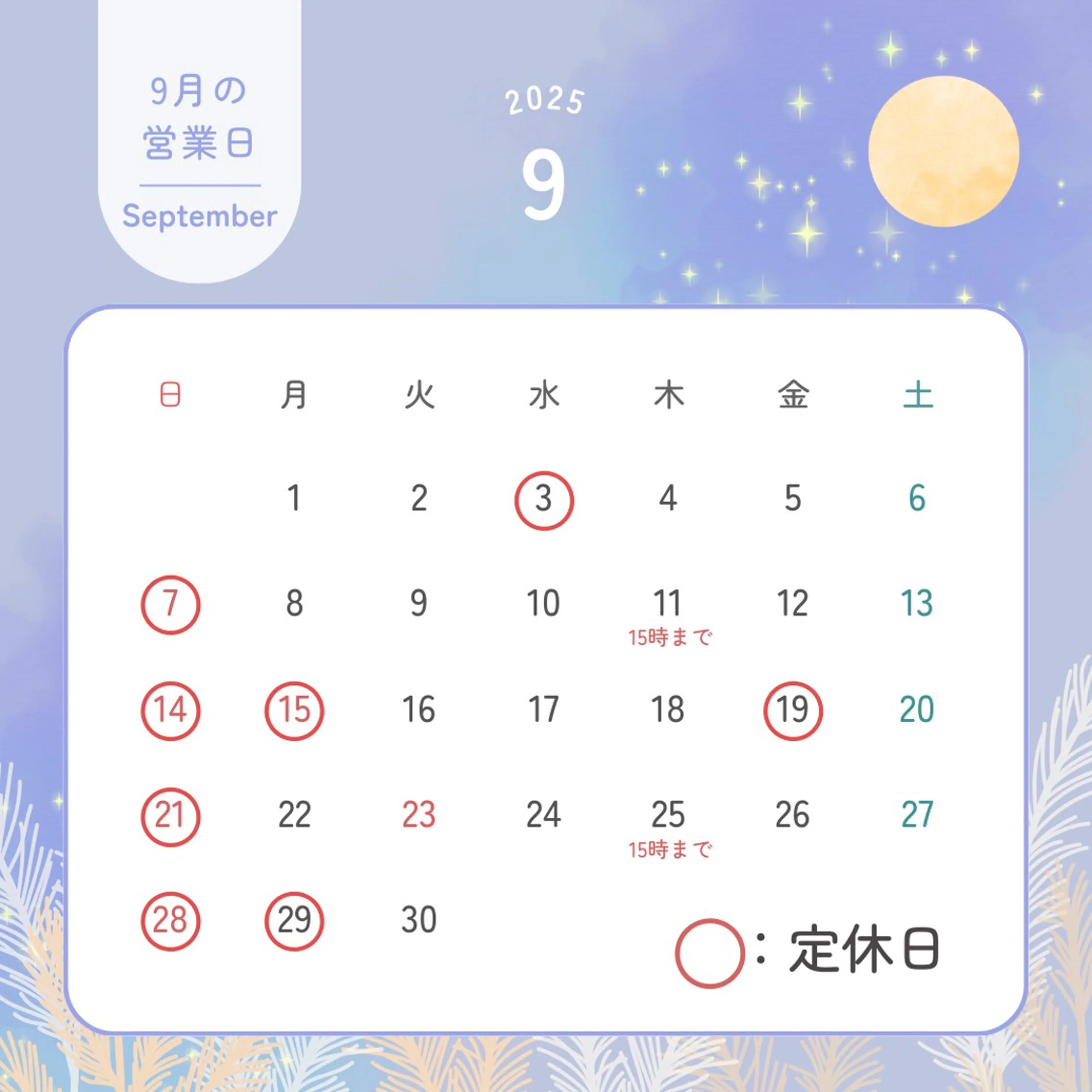 その他 セルフホワイトニング RipiQaのその他イメージ