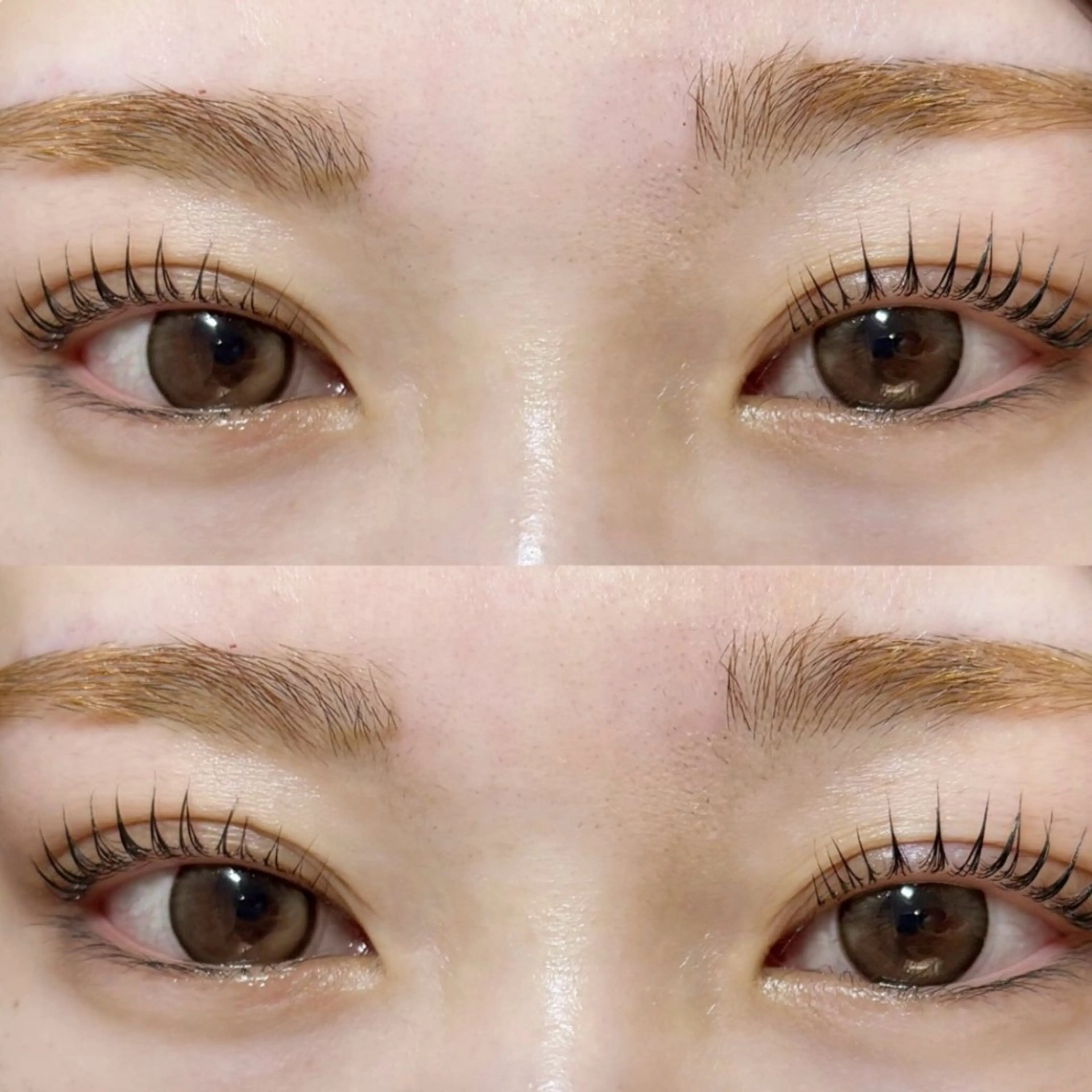 12月限定学割パリジェンヌ🎄🎀の写真