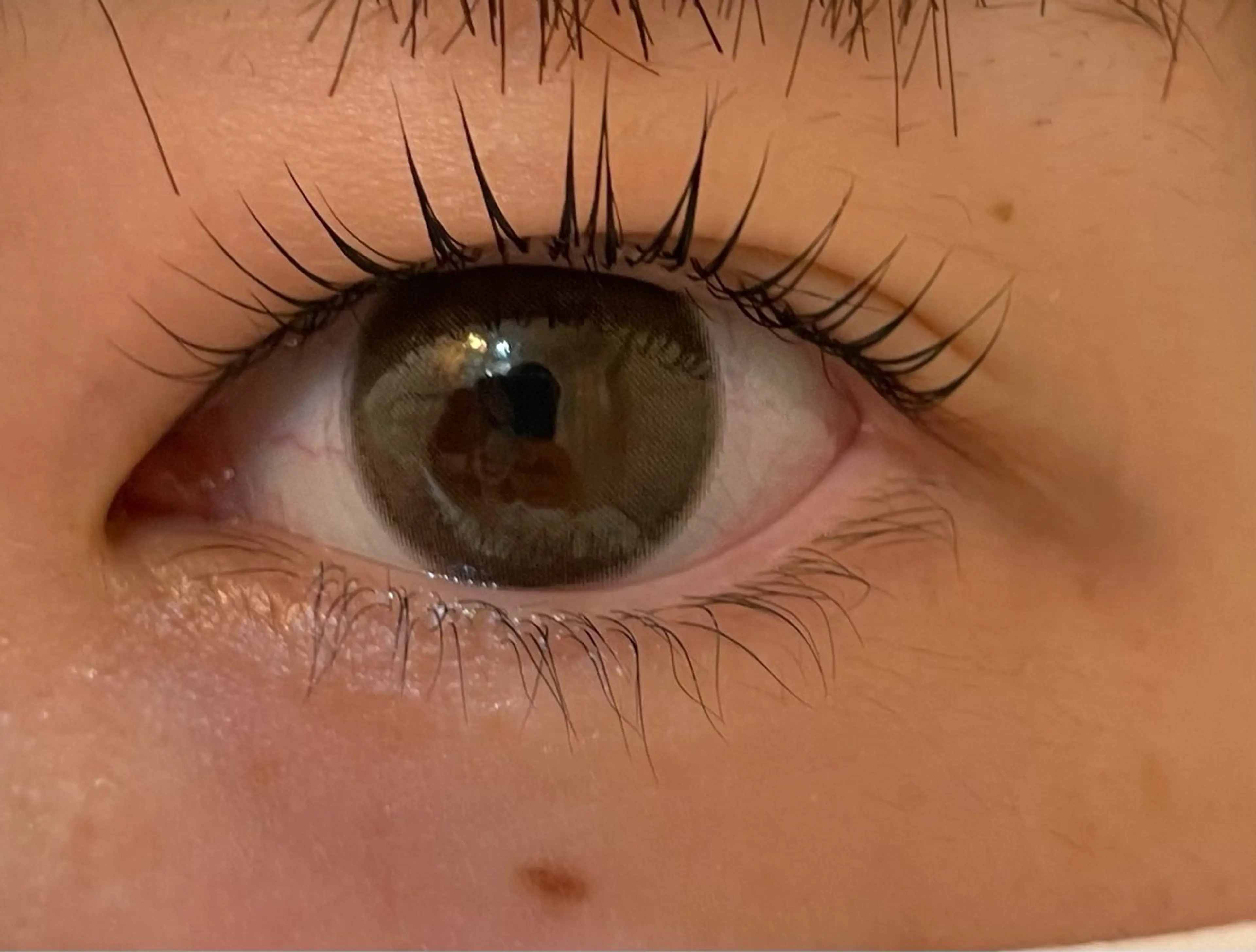 マツエク・マツパ まつ毛パーマ募集中！ Ayuのマツエク・マツパデザイン