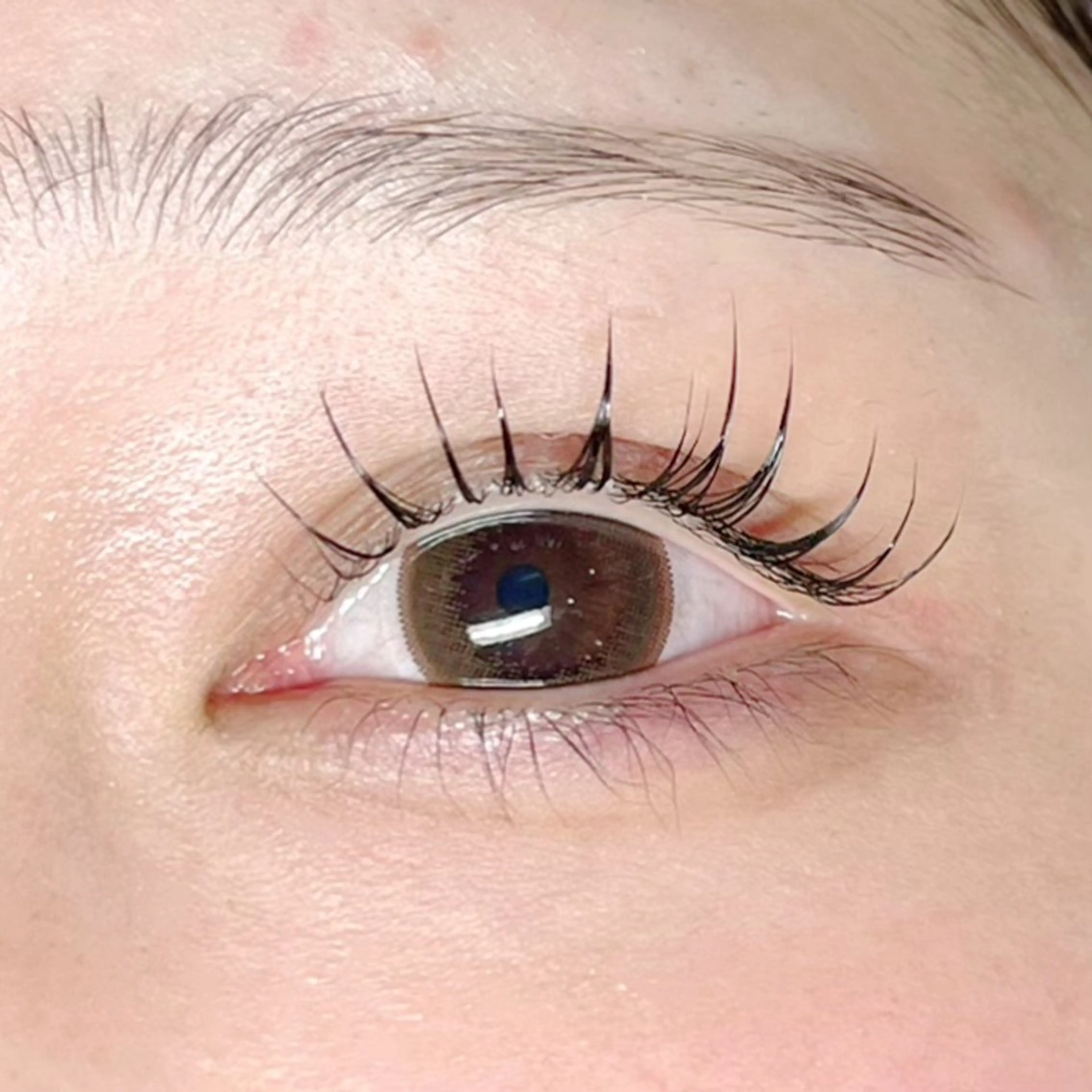 マツエク・マツパ パリジェンヌラッシュリフト アイリスト / miki♡のマツエク・マツパデザイン