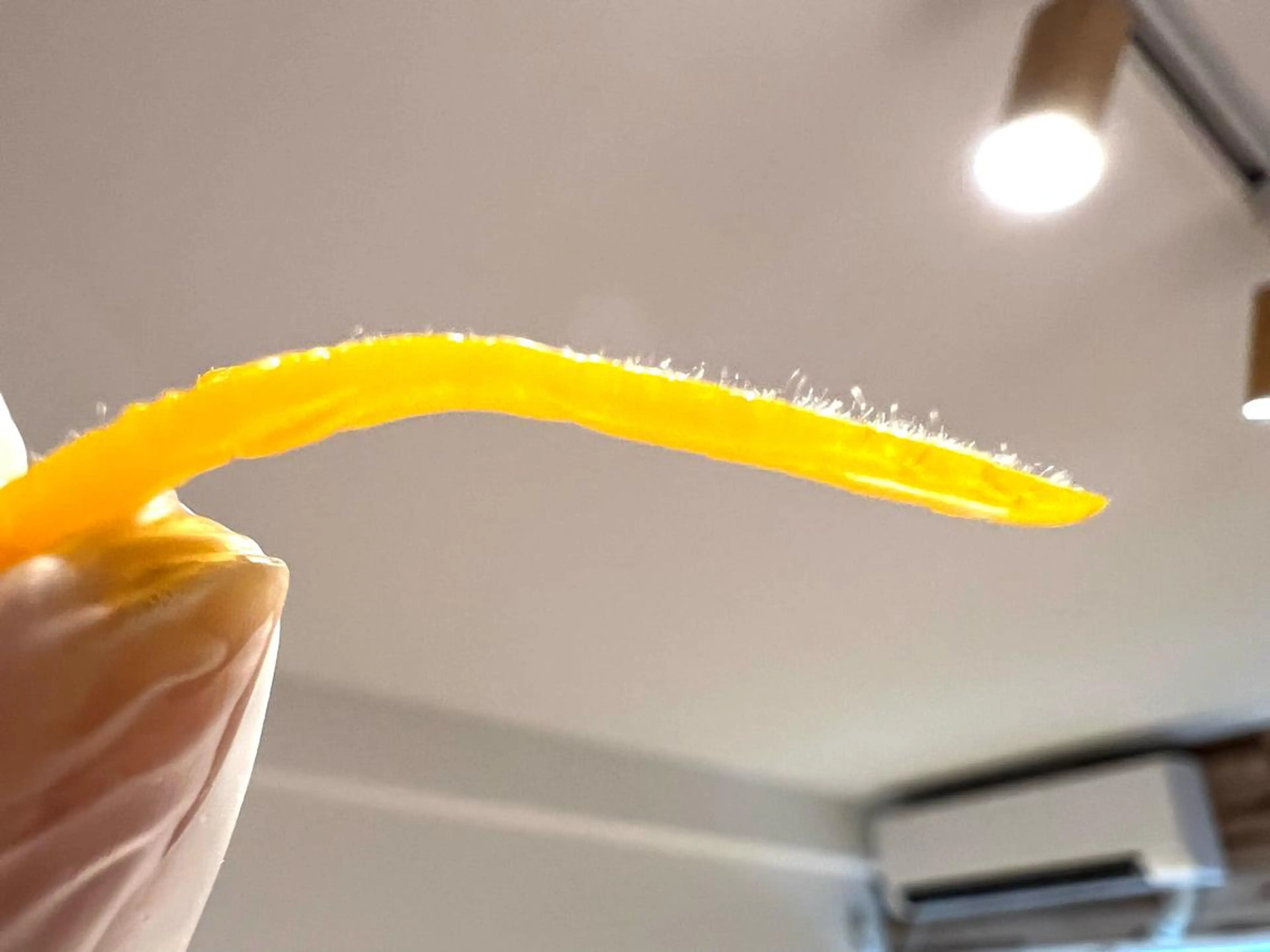 Meetite 小林のエステ・リラクイメージ