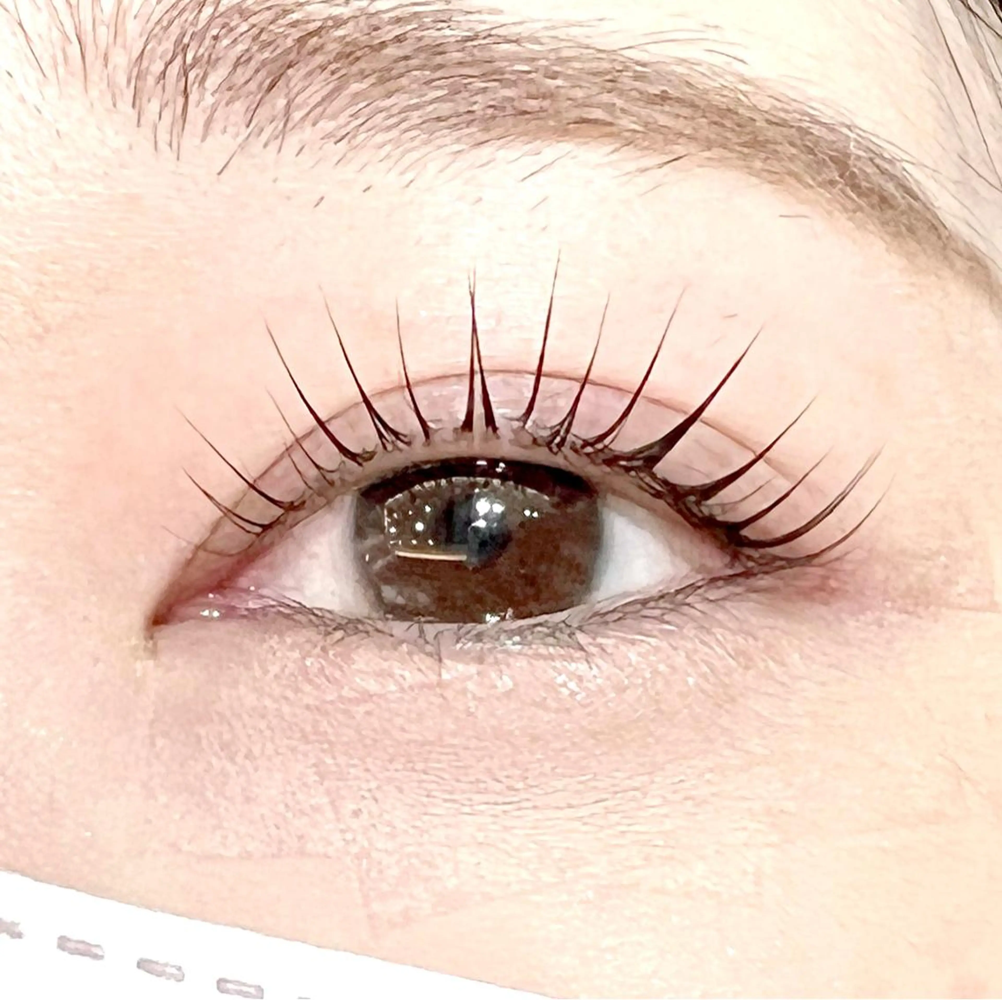 マツエク・マツパ 束感まつ毛 マツパ Fukushi／ 自由が丘quint;のマツエク・マツパデザイン