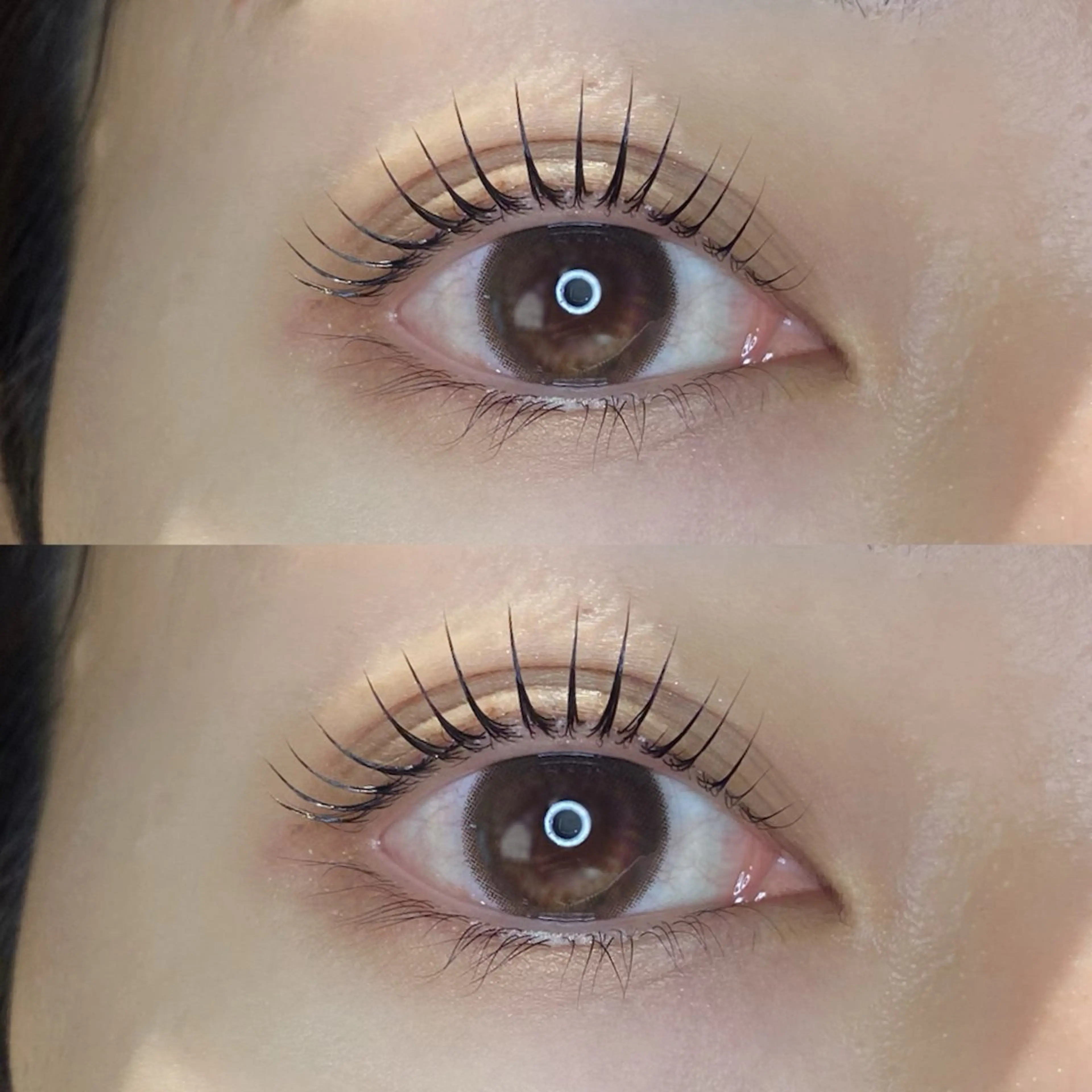 マツエク・マツパ lit yurina🐈‍⬛のマツエク・マツパデザイン