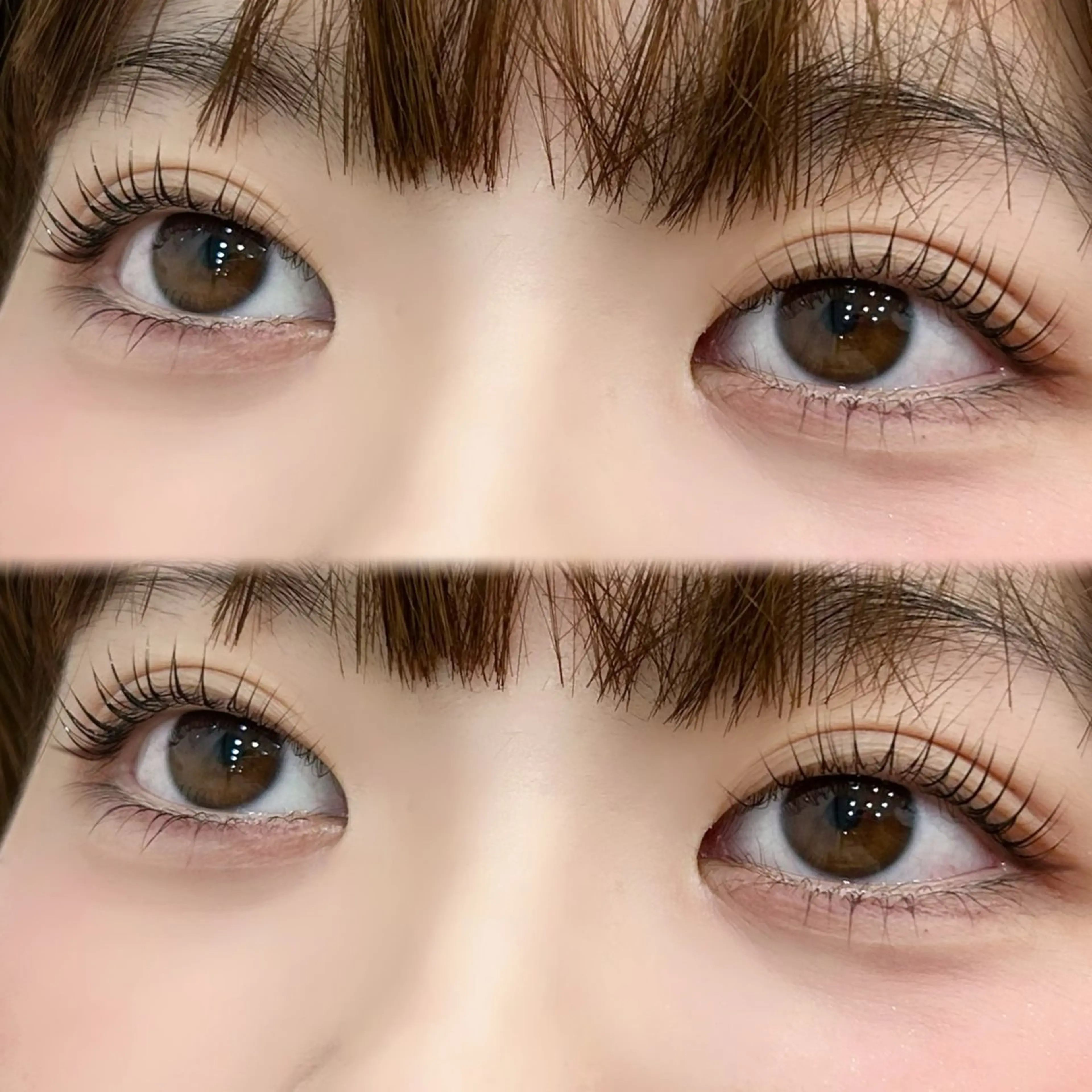 【🉐12/24まで限定🉐】まつげパーマ上下☘️/束感コーティング仕上げ/川越/本川越の写真