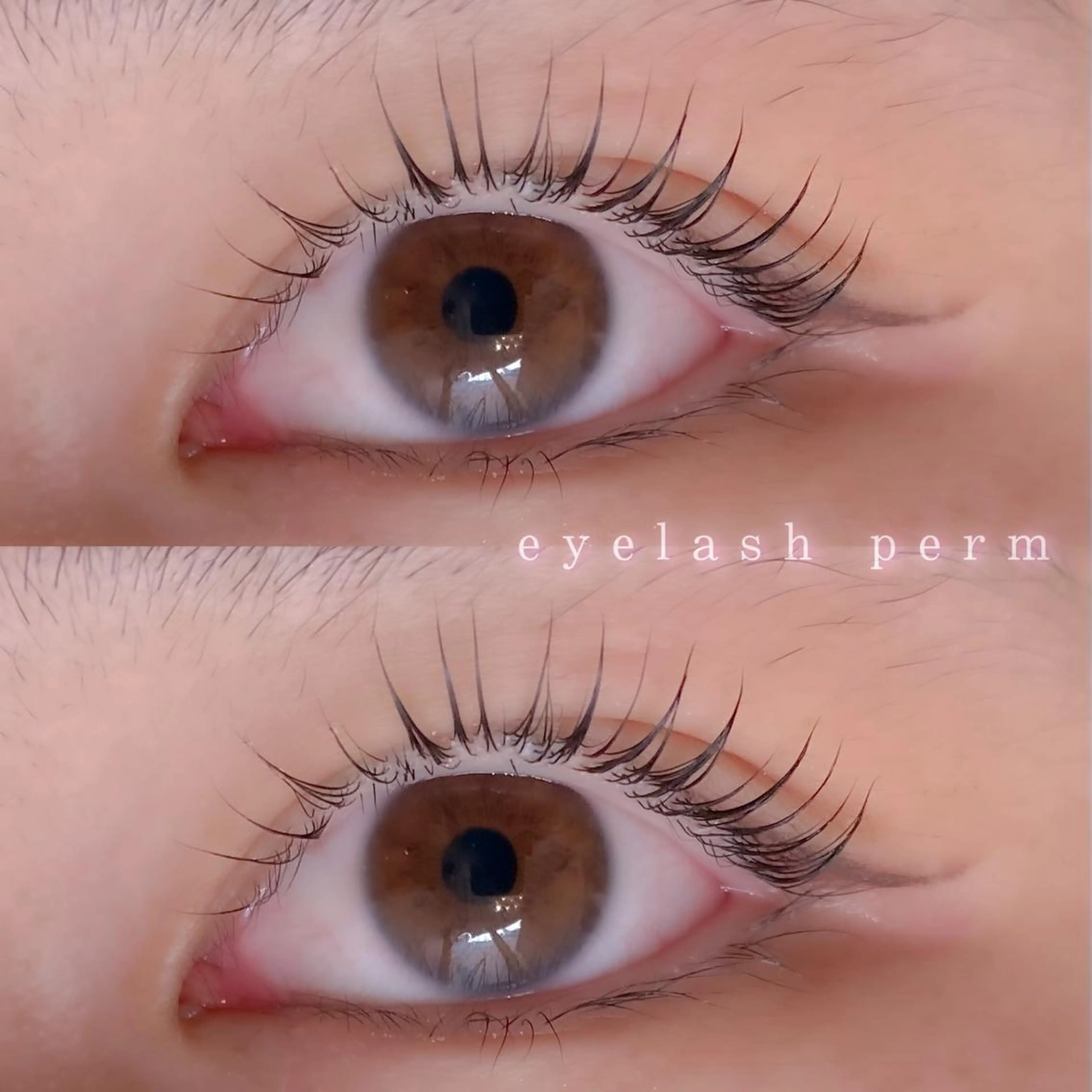 平日限定まつ毛パーマ👁＋¥1500でリフトアップにご変更可能🖤の写真