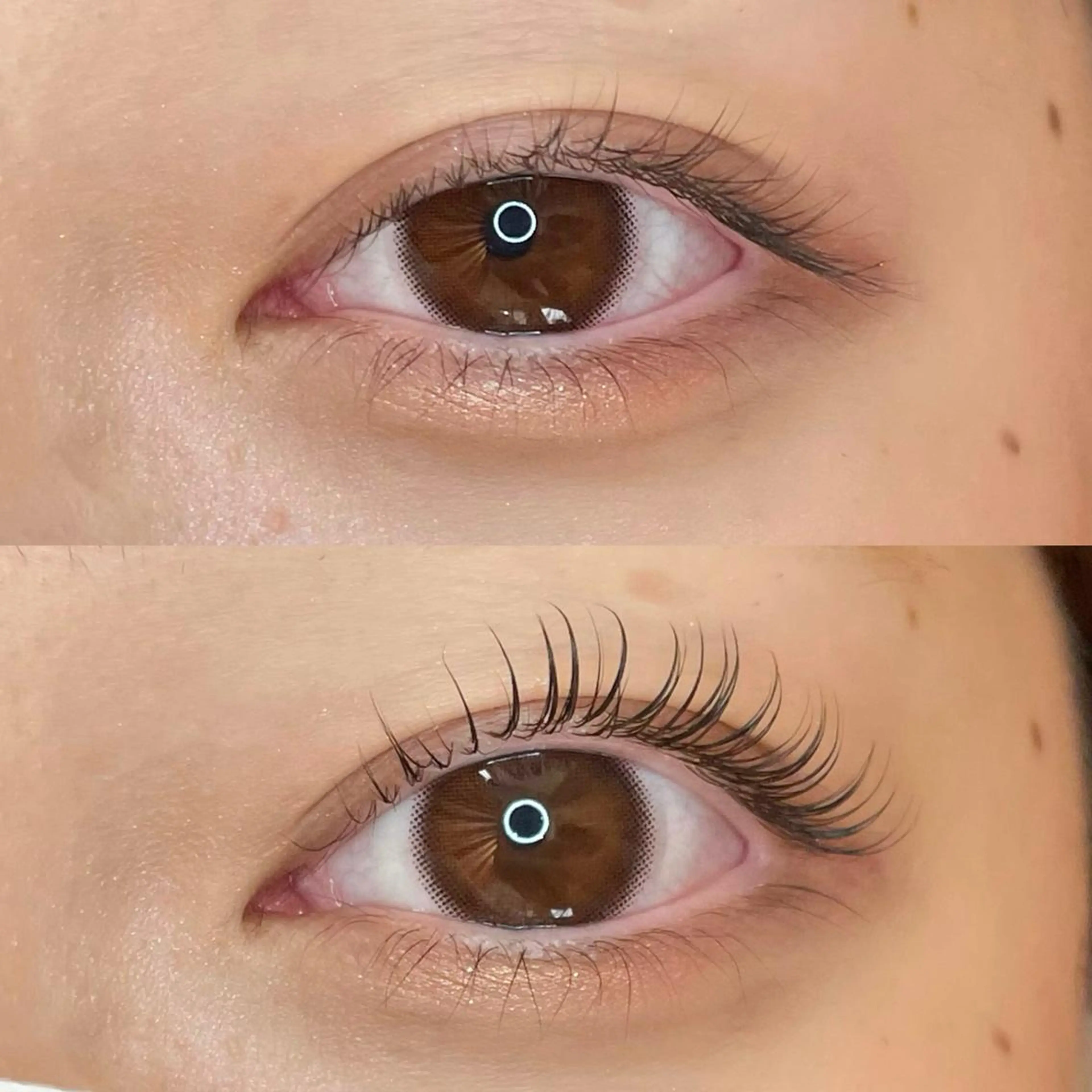 マツエク・マツパ eight eyelash池袋店のマツエク・マツパデザイン