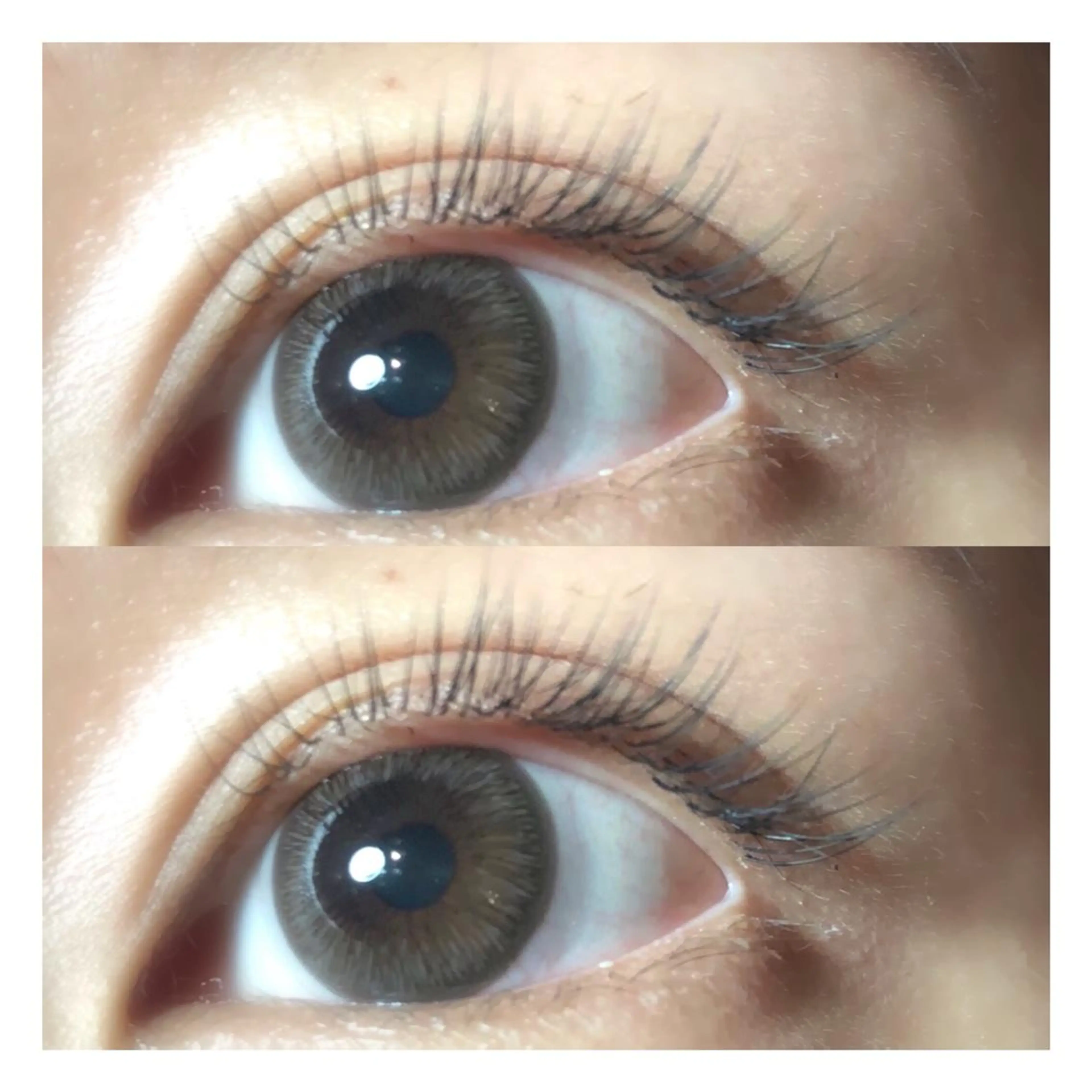 マツエク・マツパ バインドロック 束感まつ毛 フラットラッシュ 韓国風マツエク まつげパーマ マツエク Biolus 天王寺 本店 🍀Nao🍀のマツエク・マツパデザイン