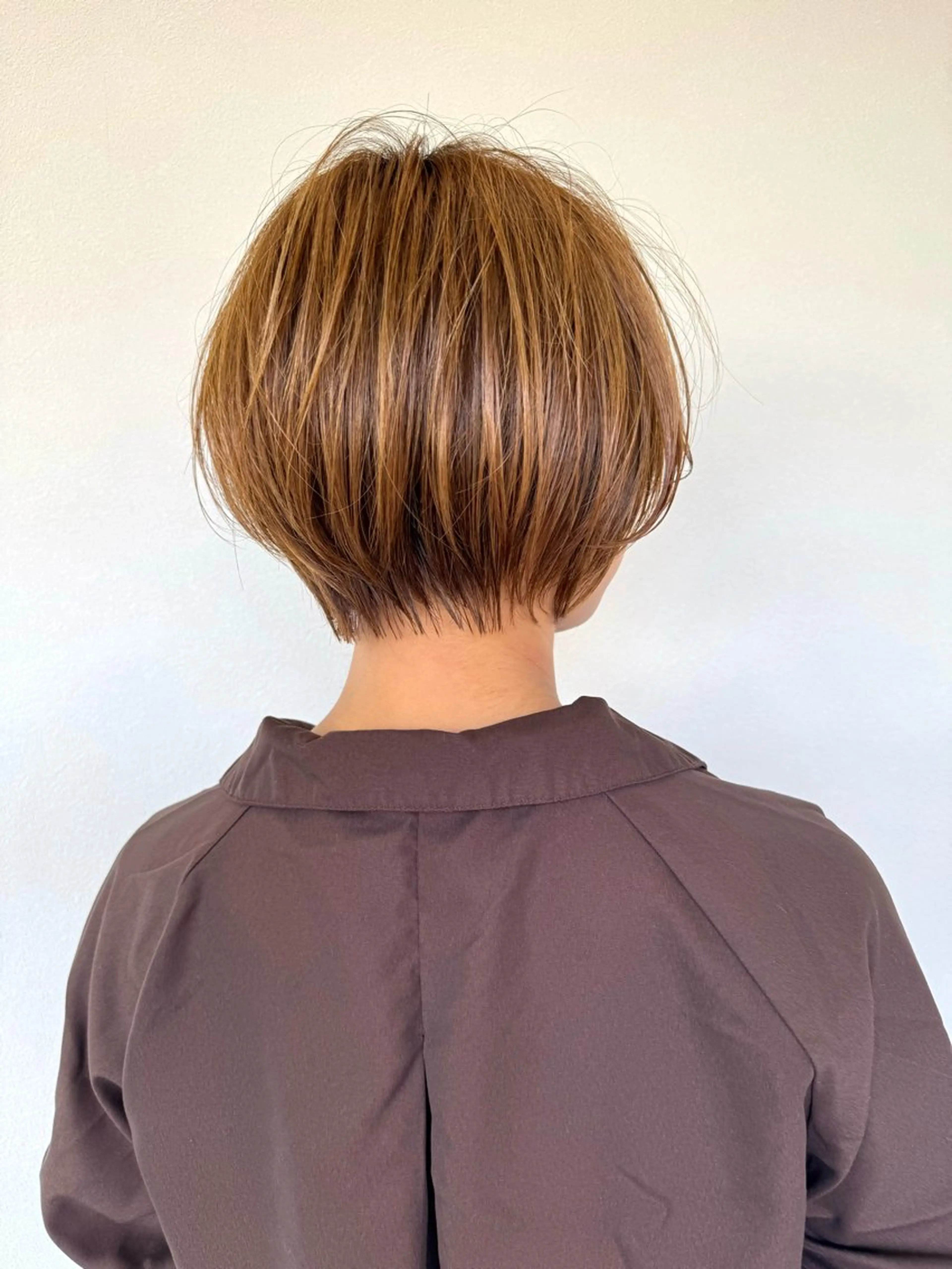 骨格診断カット（ショートのみ）➕ケアカラー➕3stepトリートメントの写真