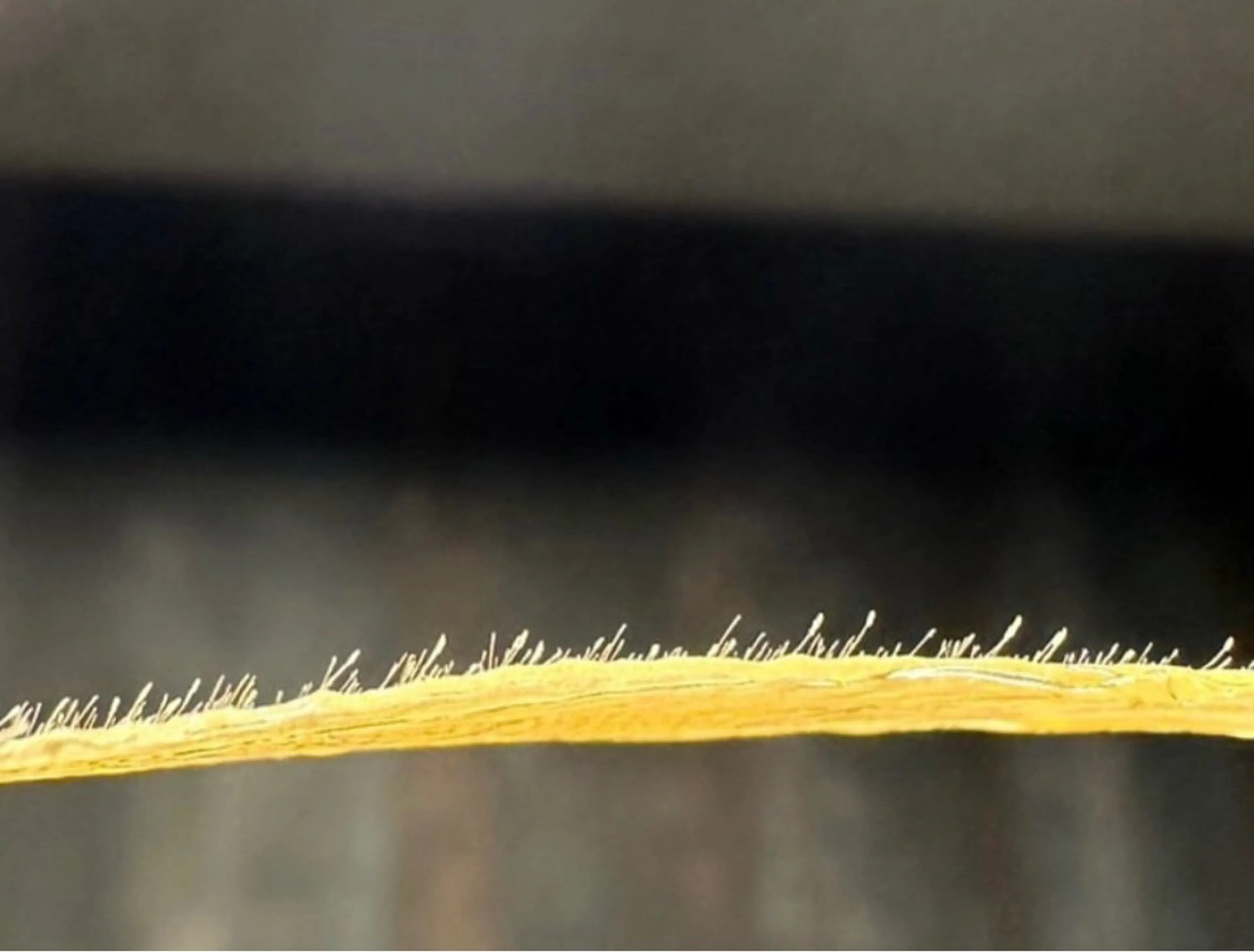 メンズ アイブロウ Hair atelier KEIZO所属・HBL AITO.のエステ・リラクイメージ