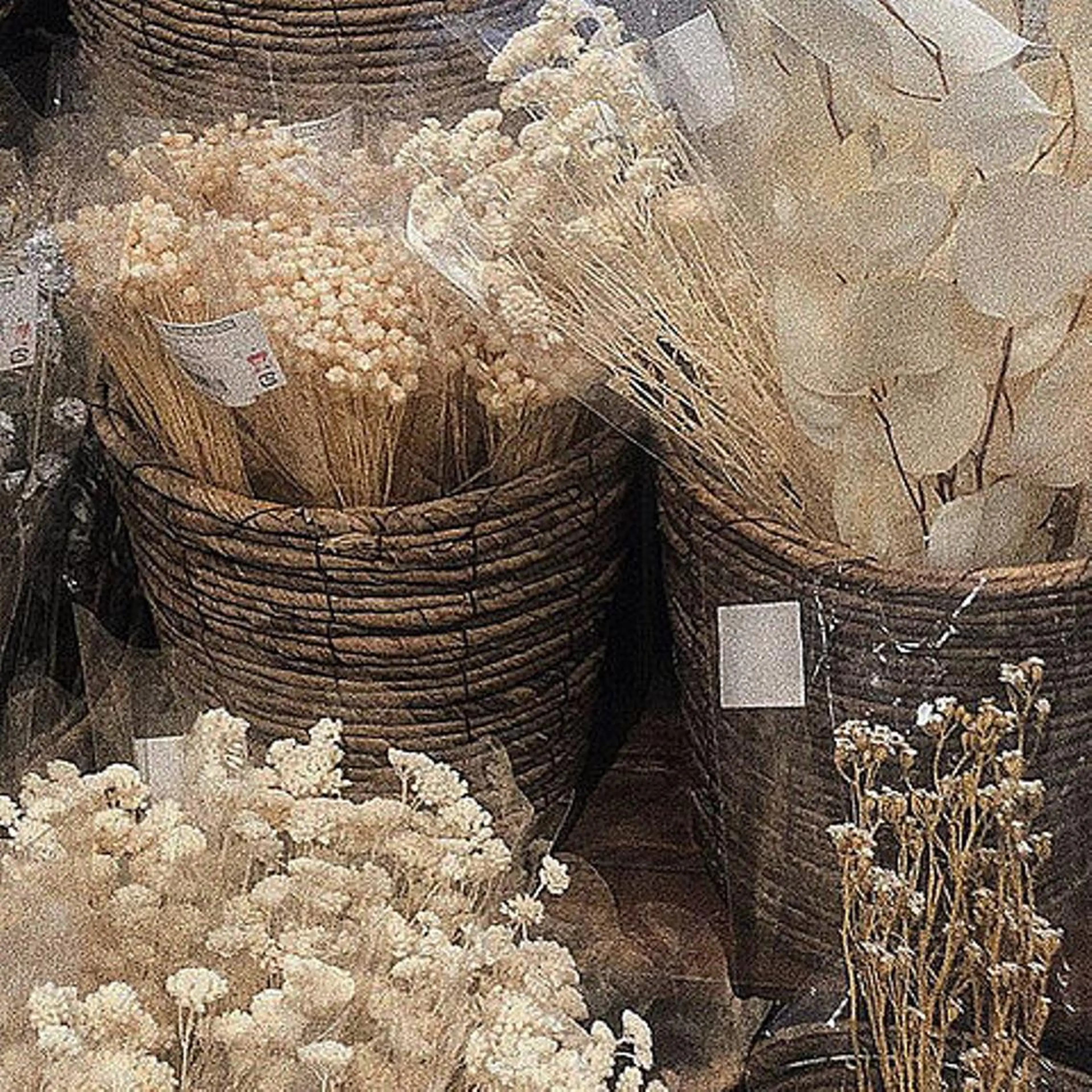 Kurumi.所属・eri .のマツエク・マツパデザイン