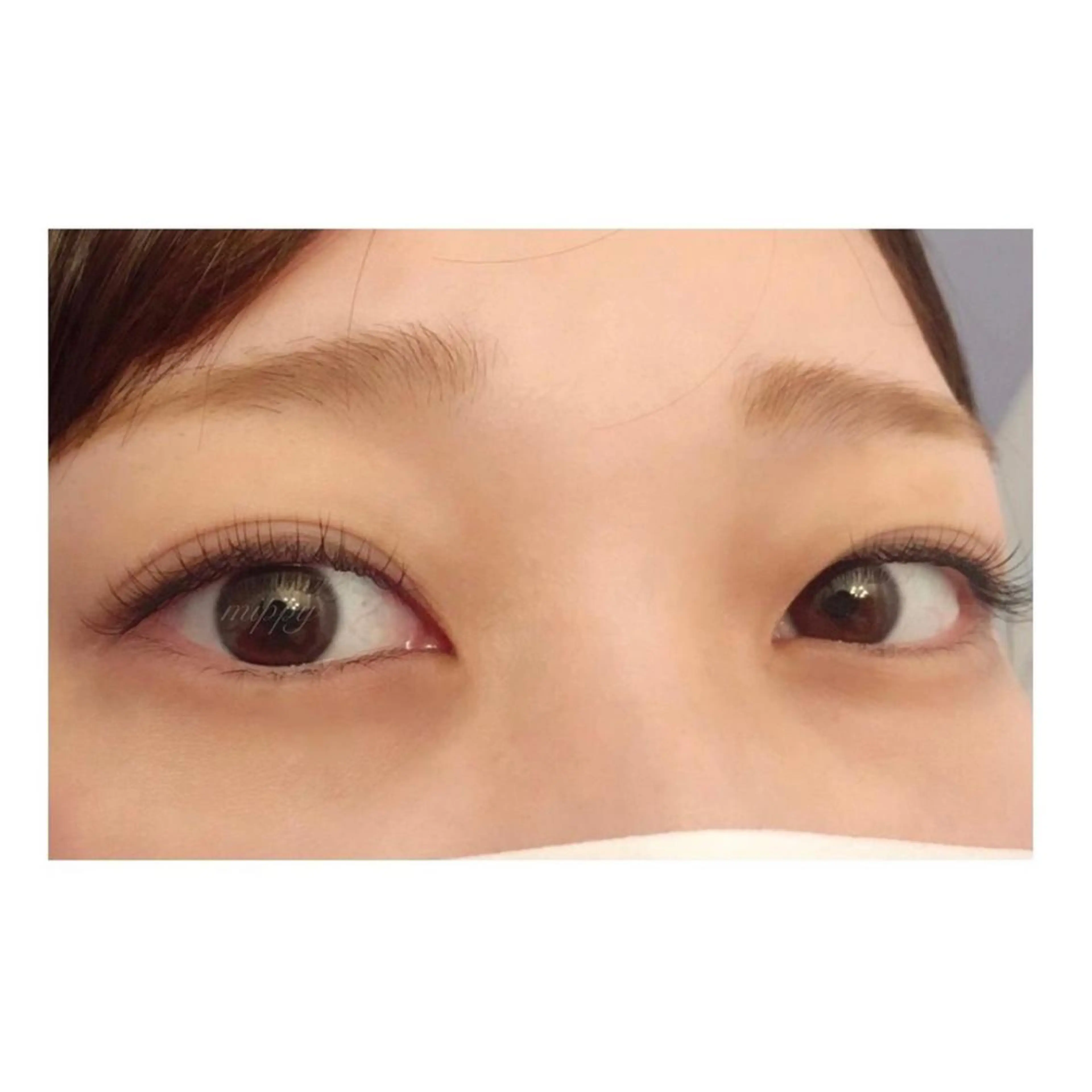 マツエク・マツパ ｍｉｐｐｙ 🪽のマツエク・マツパデザイン