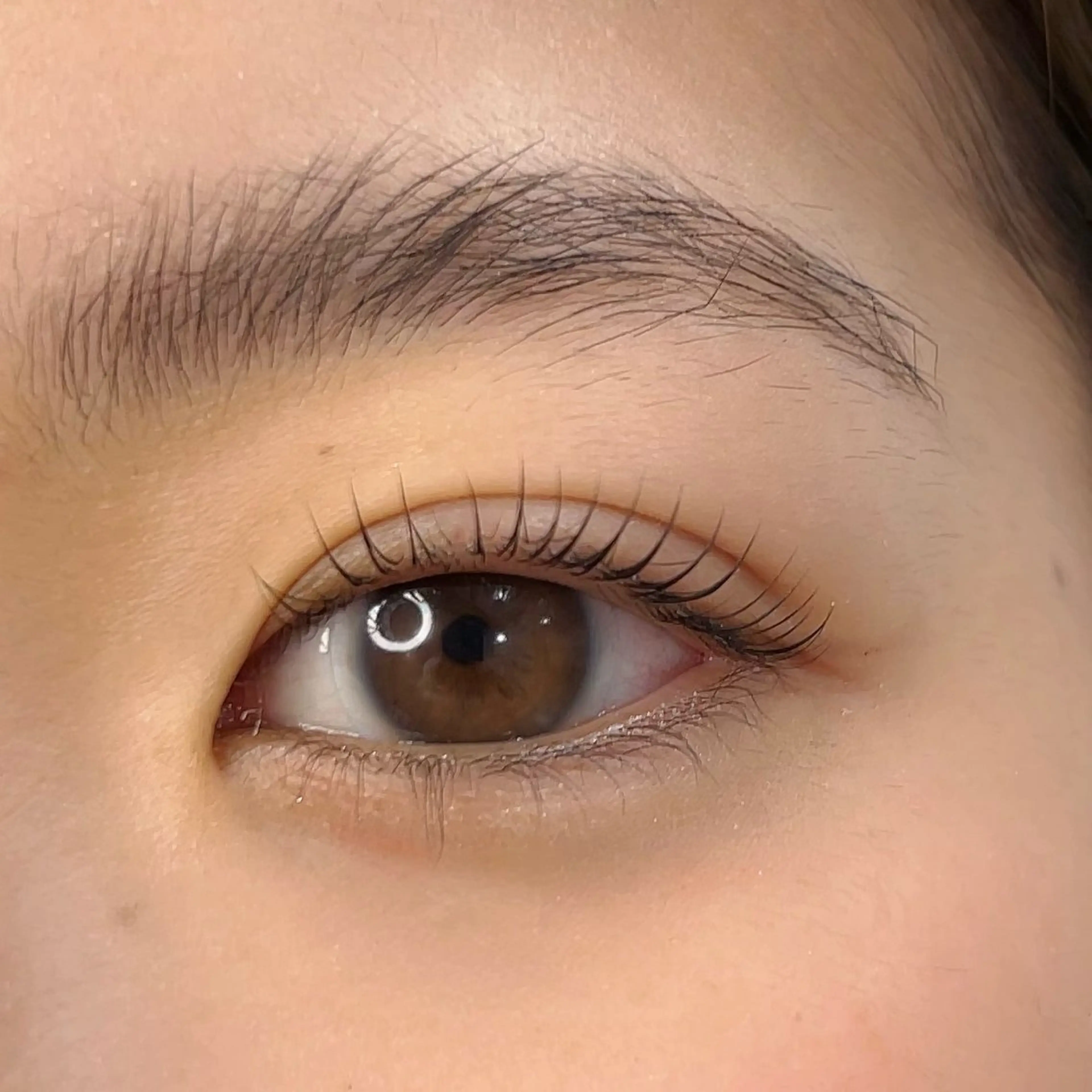 🌷minimo限定🌷平日限定！まつげパーマトリートメント付の写真