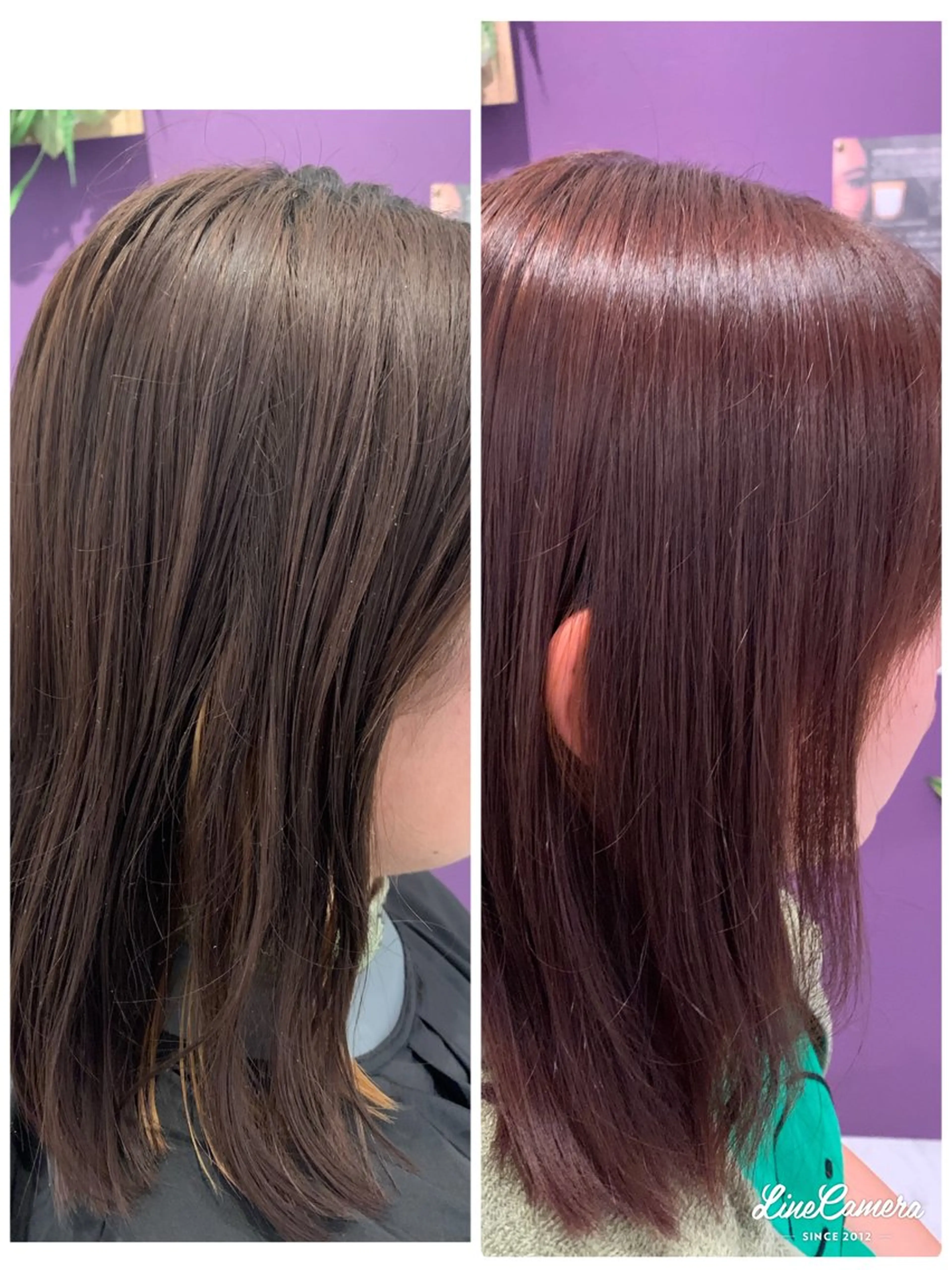 カラー フェイシャルワックス 自然派エステファーノのその他イメージ