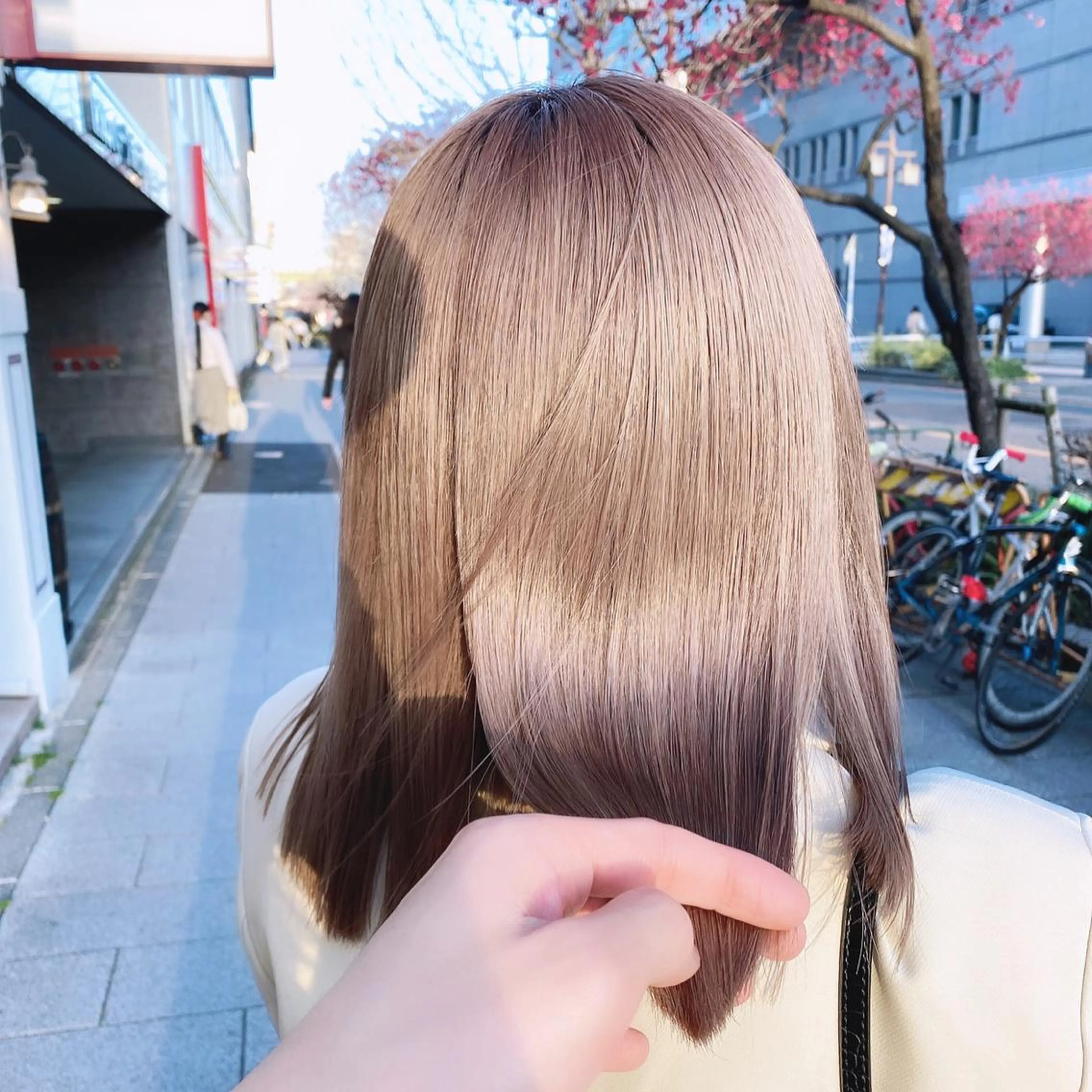 ショート カラー 加藤 利基のヘアスタイル