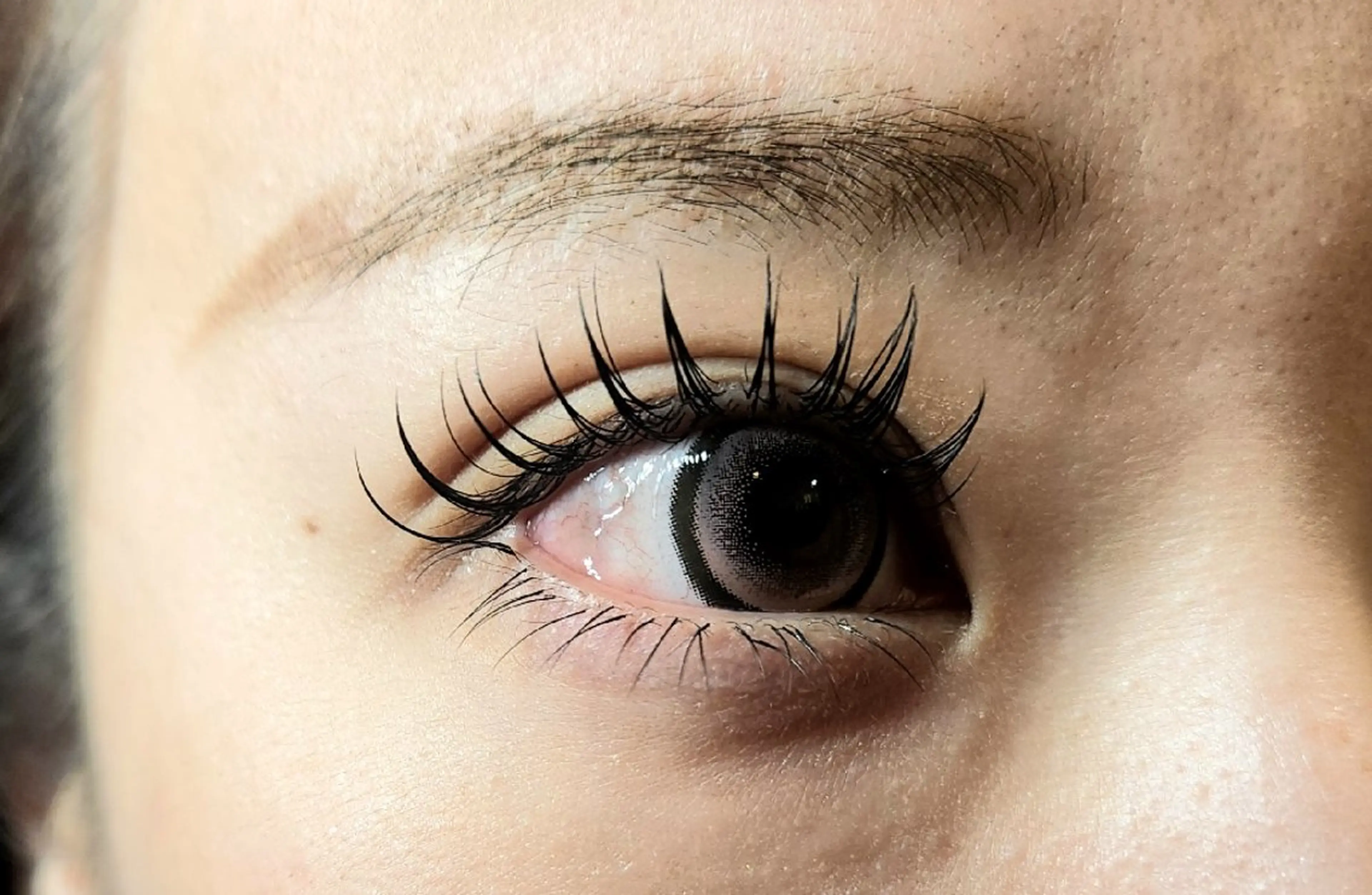 マツエク・マツパ Cカール フラットラッシュ Blanc 粕谷の眉毛・アイブロウイメージ