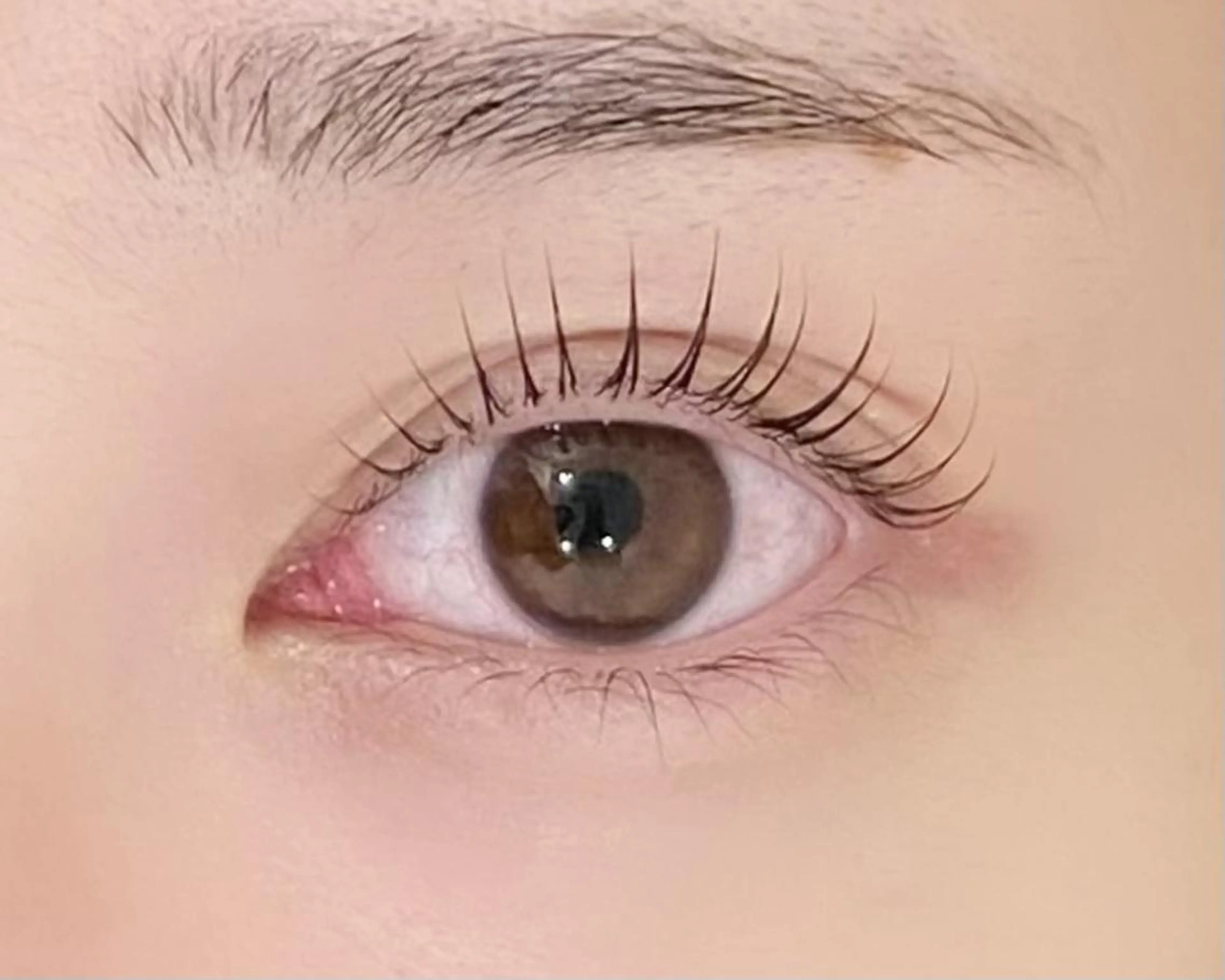 【パーソナルラッシュリフト上】他店オフ無料！2stepトリートメント付きの写真