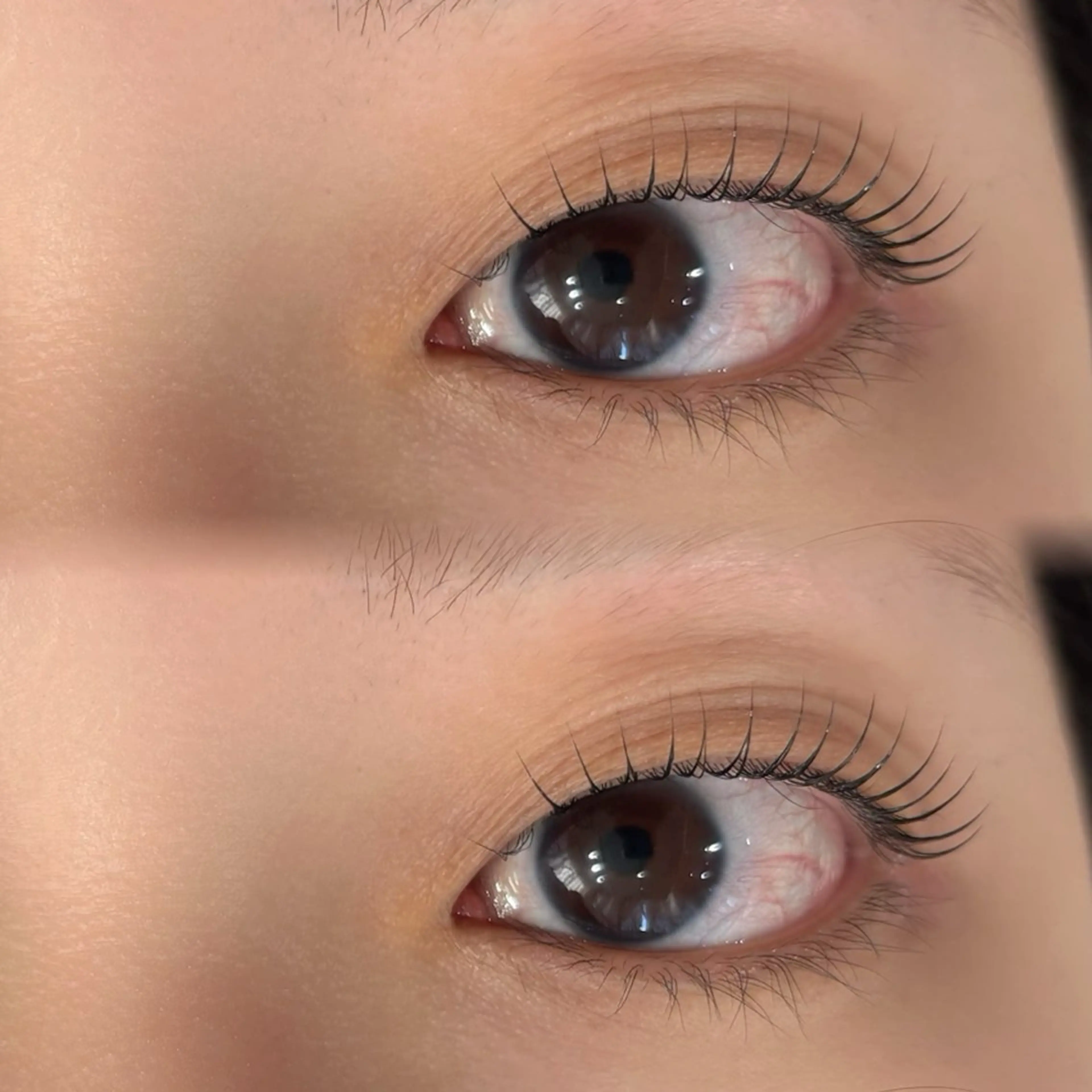 【26日まで限定】ラッシュリフト(まつげパーマ)上の写真