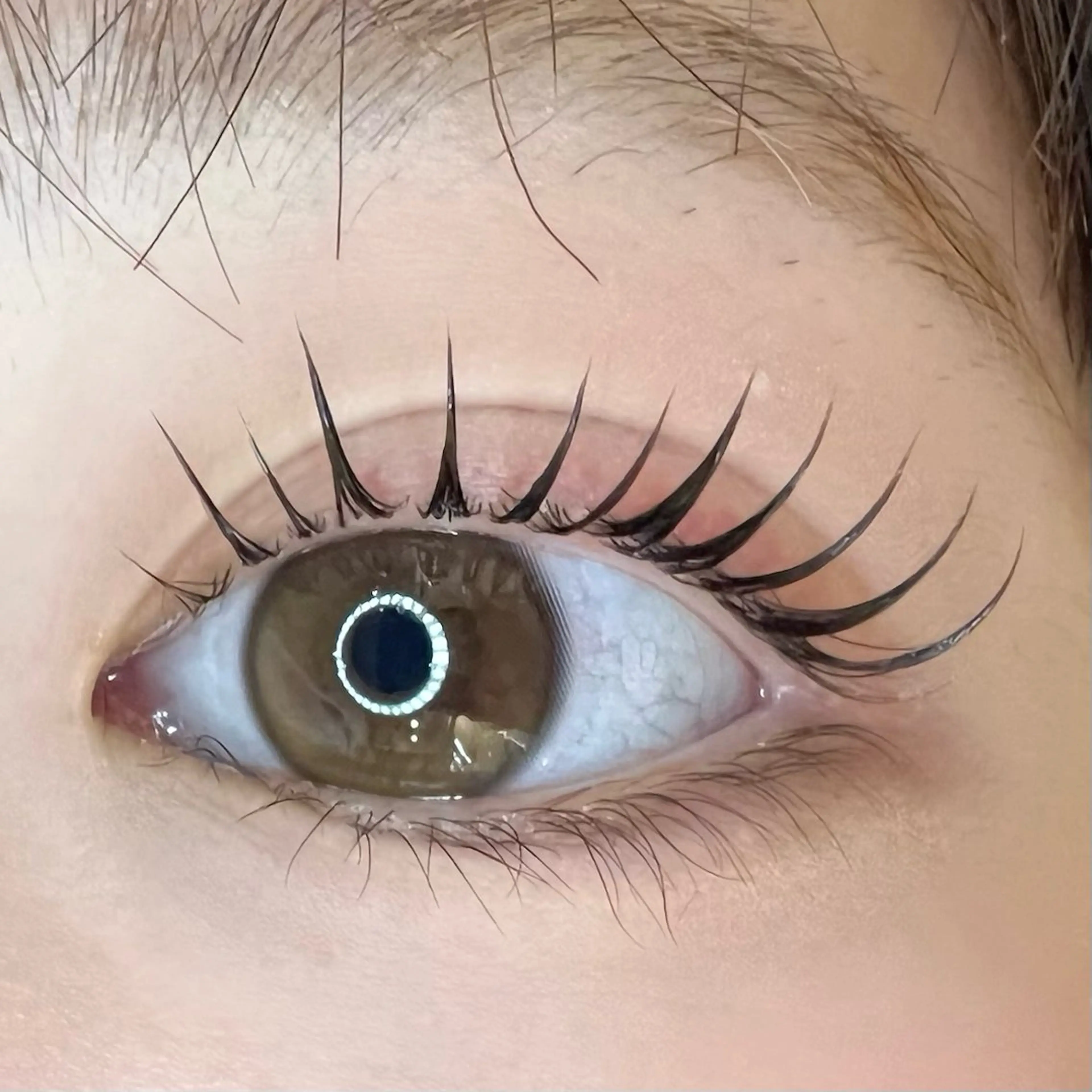 マツエク・マツパ マツパ Lumity川越 モチヅキのマツエク・マツパデザイン