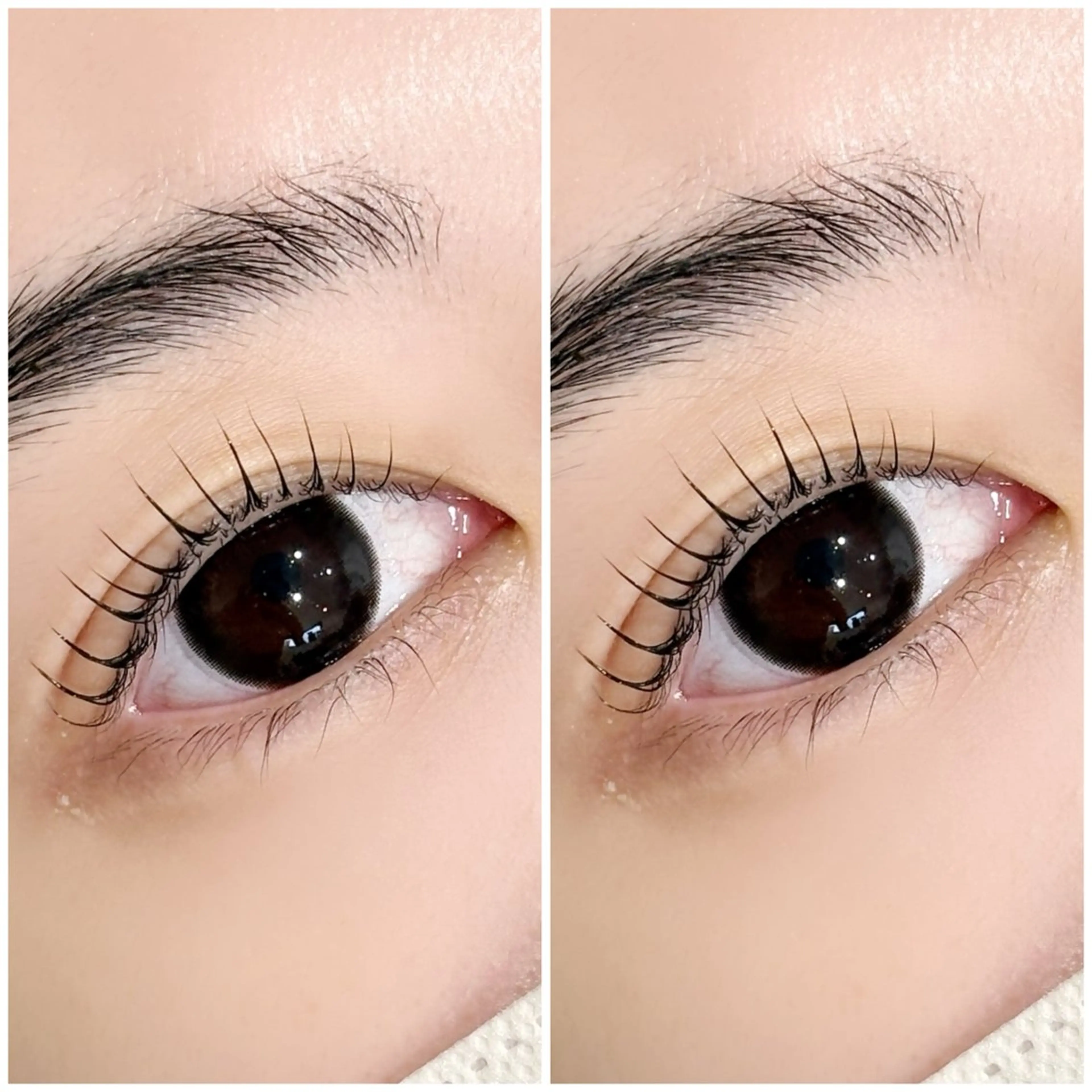 マツエク・マツパ マツパ 石川 陽菜 ☆KARERA東川口のマツエク・マツパデザイン