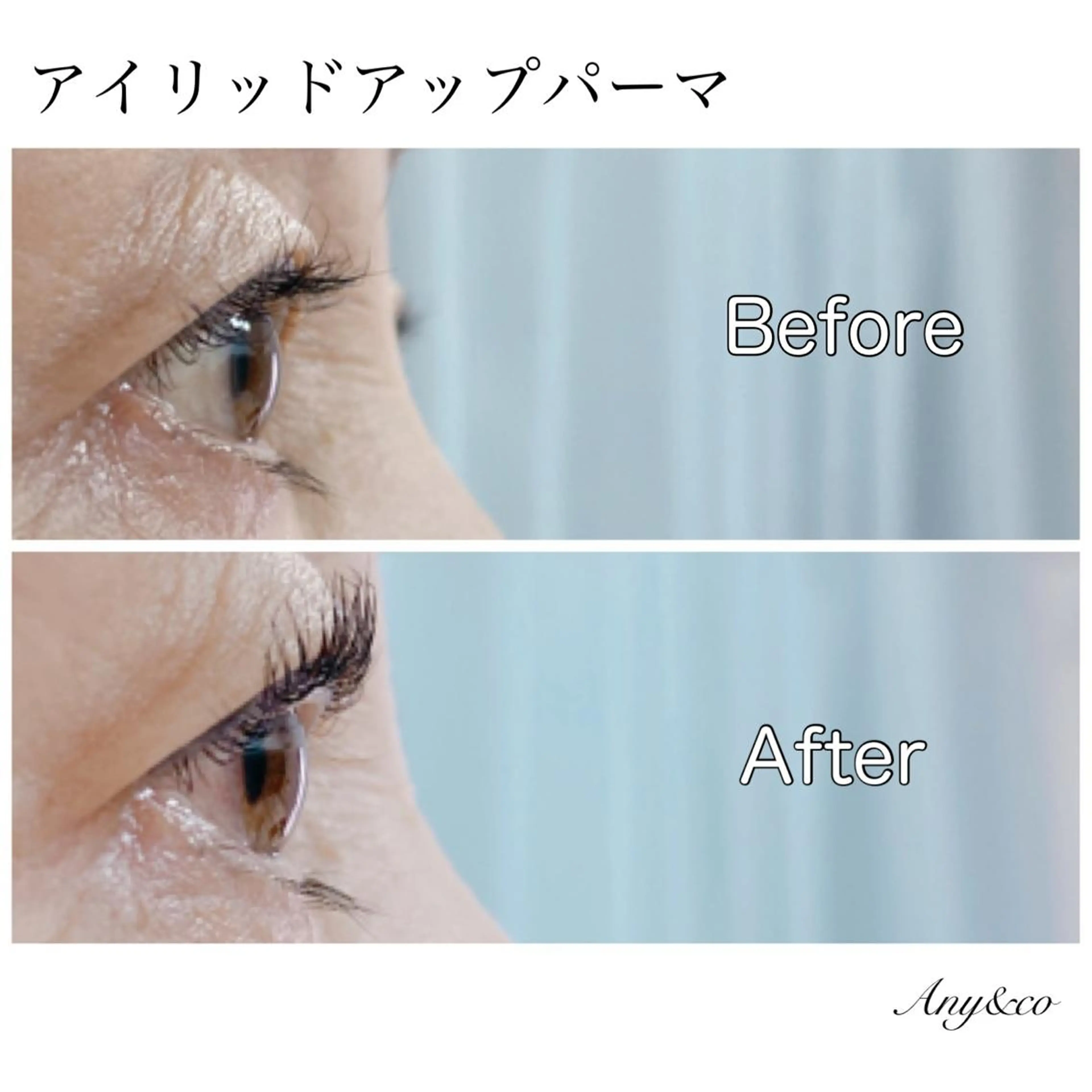 マツエク・マツパ アイリッドアップパーマ Any&co 【エニコ】のマツエク・マツパデザイン