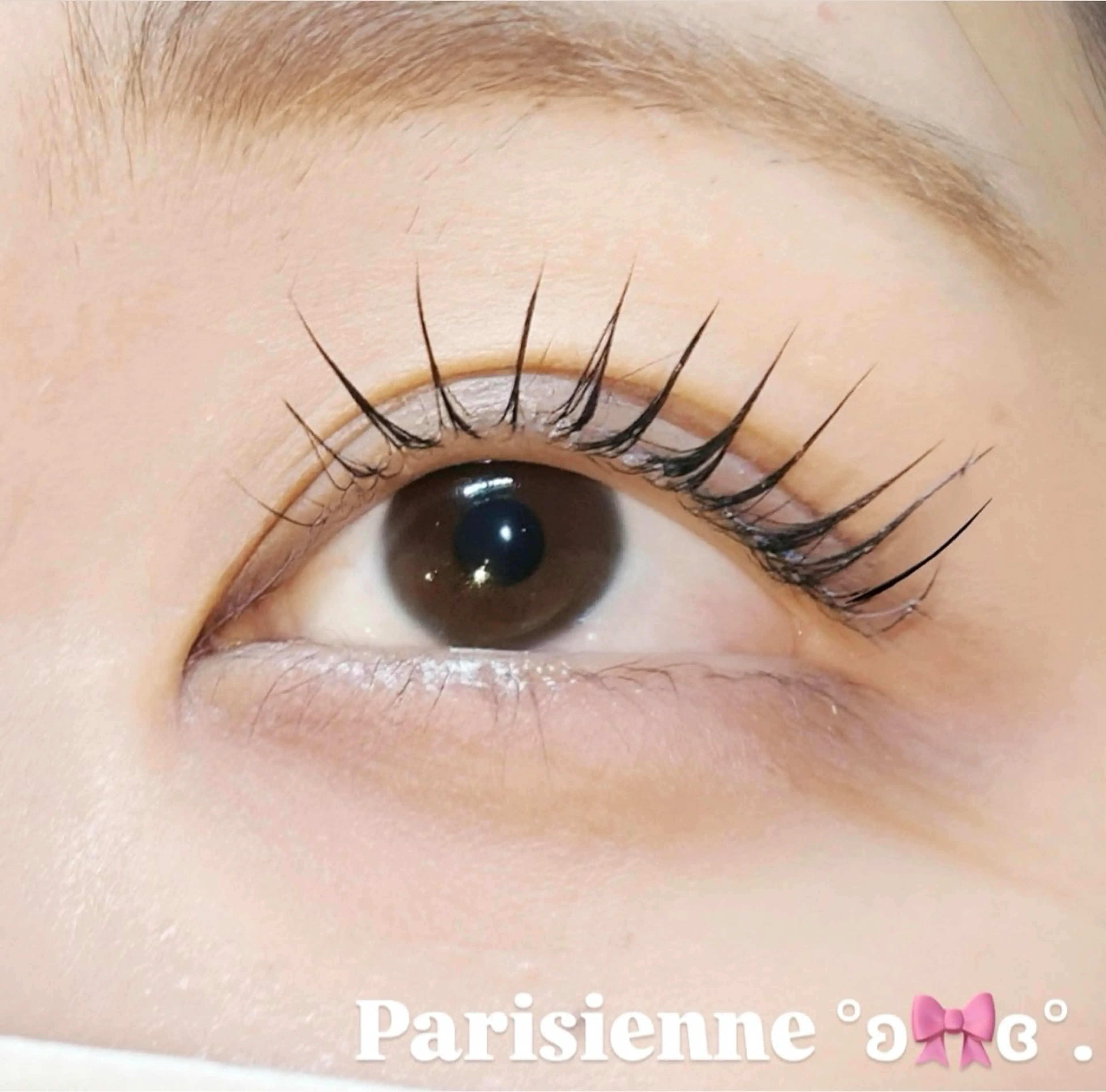 マツエク・マツパ パリジェンヌラッシュリフト マツパ RocoLush🍯 HINATA౨ৎ⋆ෆのマツエク・マツパデザイン