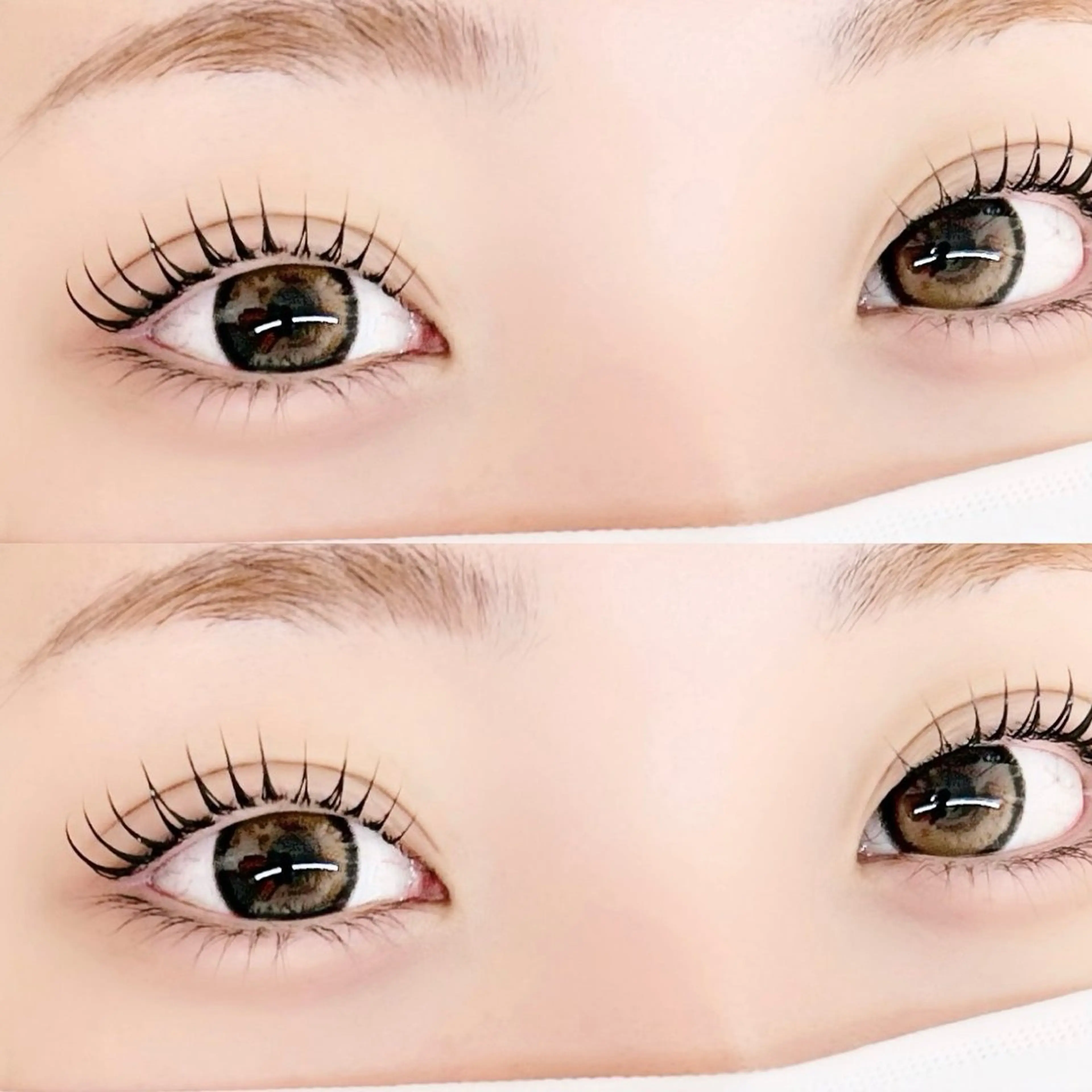 韓ドル風まつ毛パーマ(束感コーティング仕上げ)🦦の写真