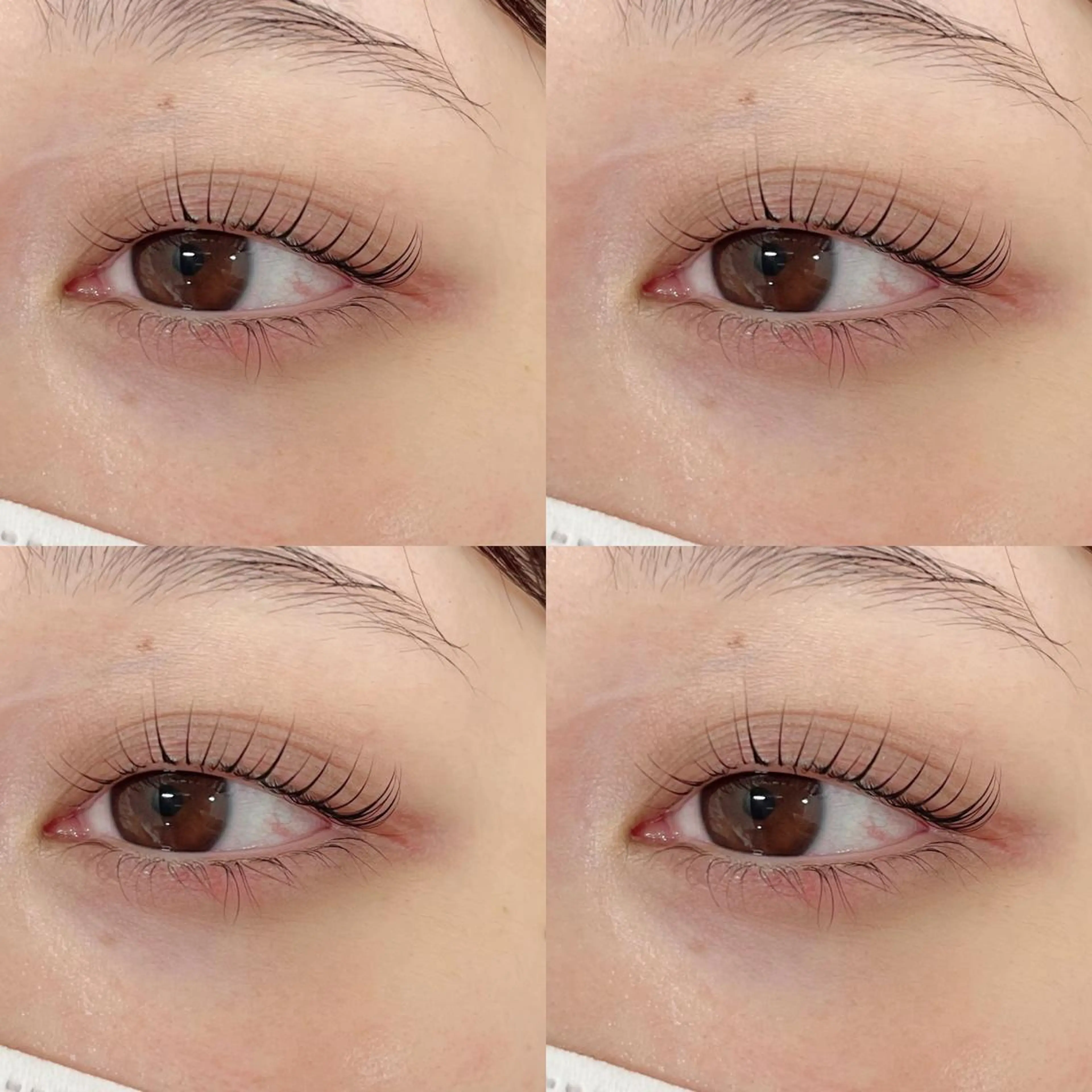 【初回限定】大人気★パリジェンヌラッシュリフト￥3900の写真