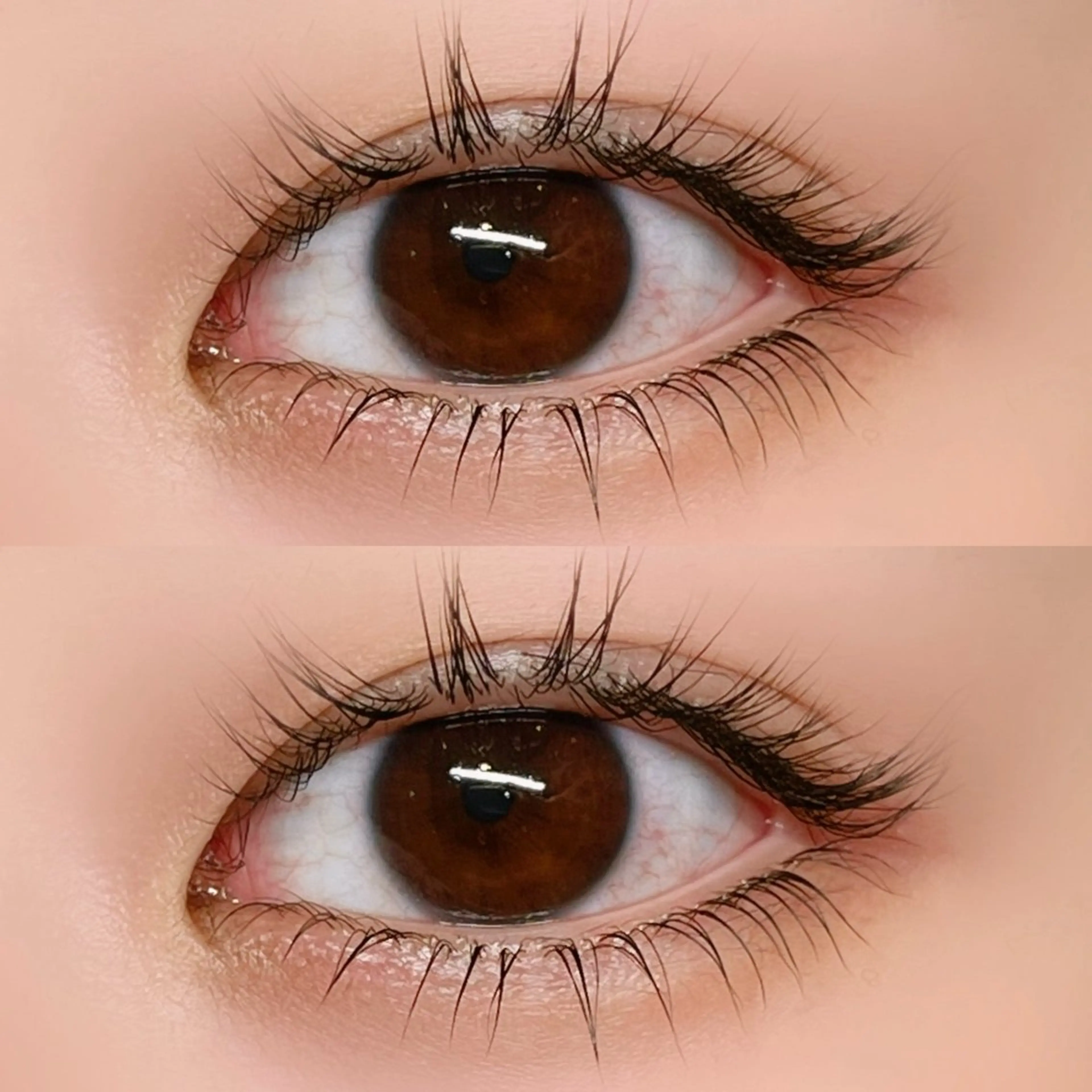 【全員】下まつ毛パーマ🤍中顔面短縮✨️デカ目効果✨️逆さまつげの方におすすめ✨️の写真