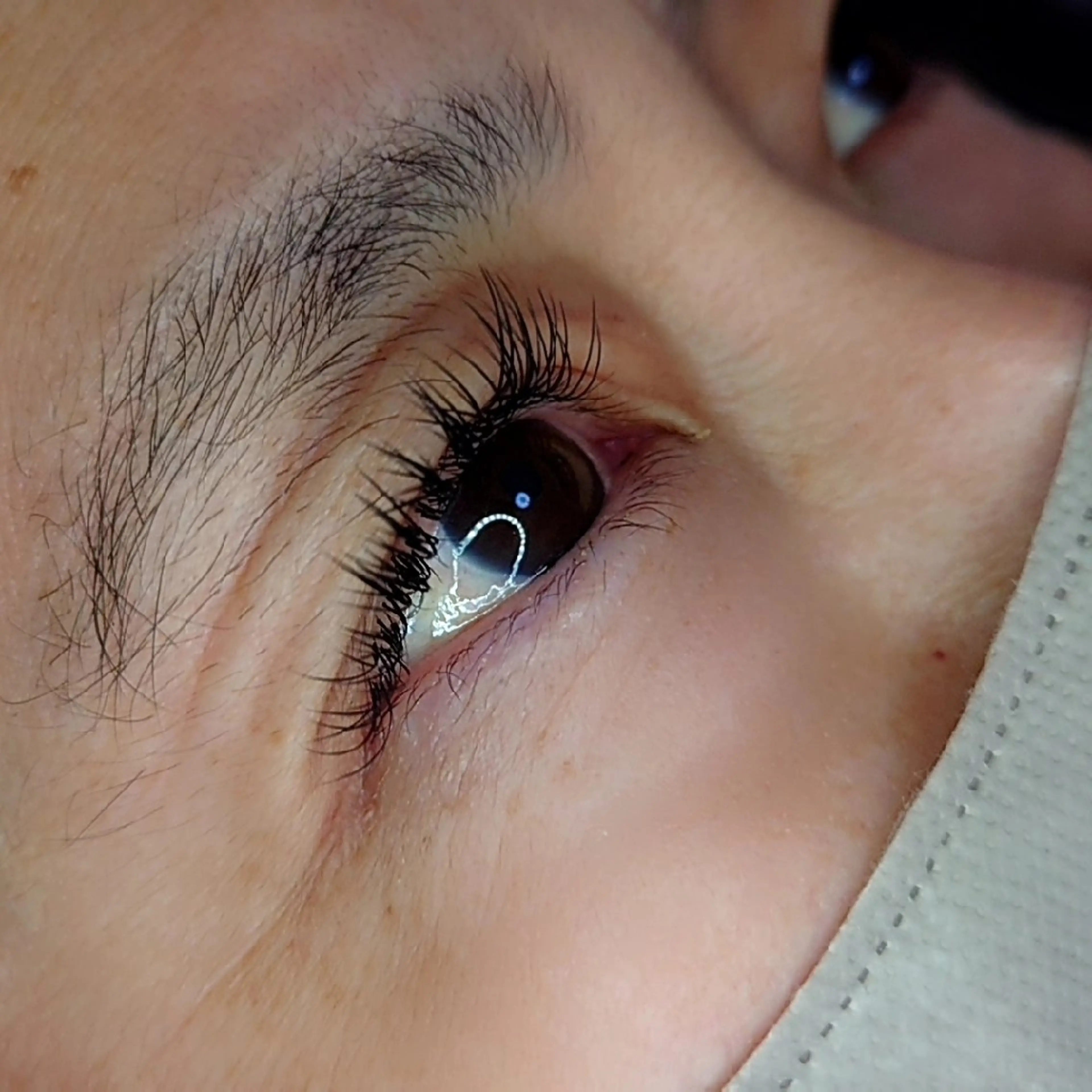 マツエク・マツパ マツエク EYELASH lino　合志市のマツエク・マツパデザイン