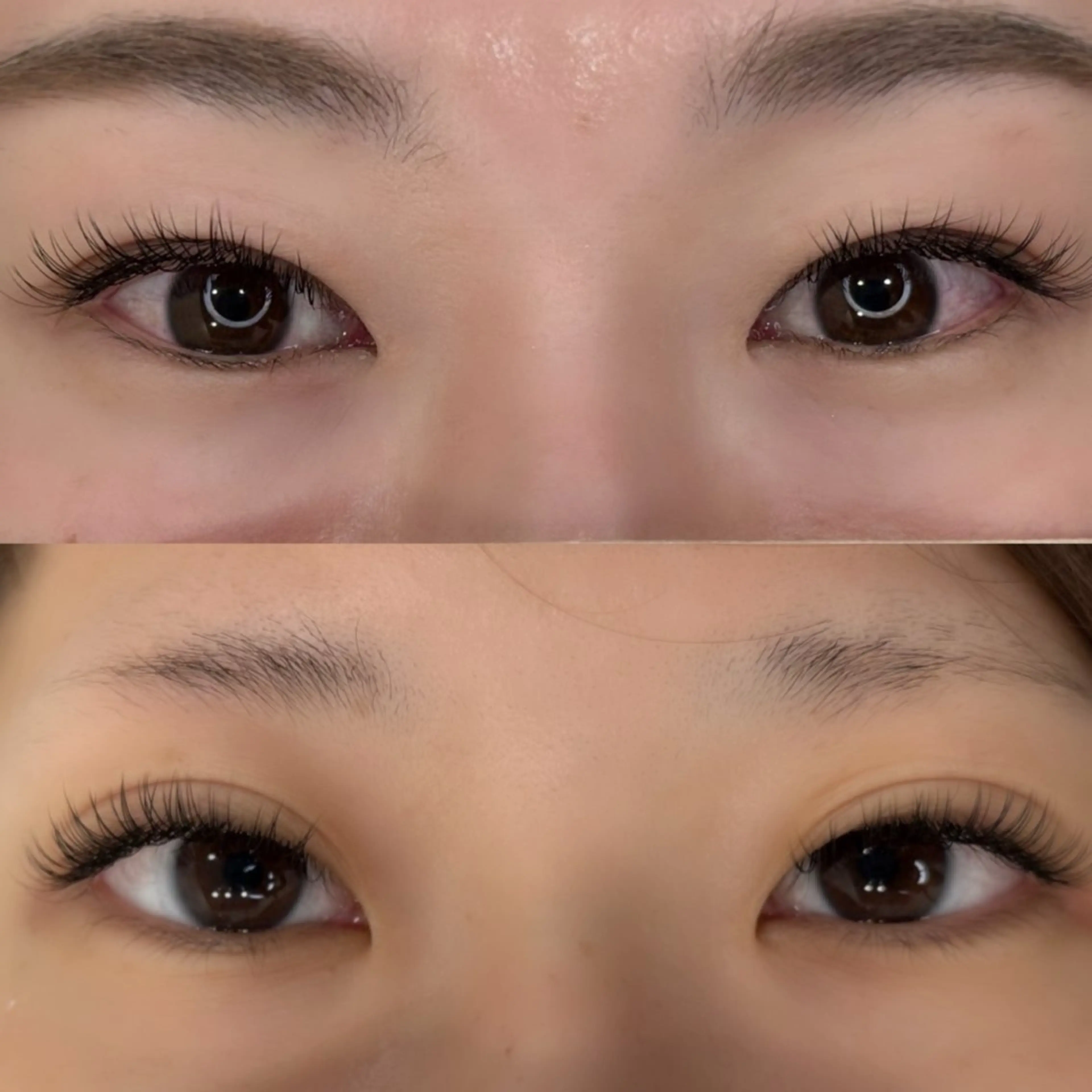 【4/8.9.10.11⚠️10:00-限定】LEDフラットラッシュ140本【オフ込み🫧】の写真