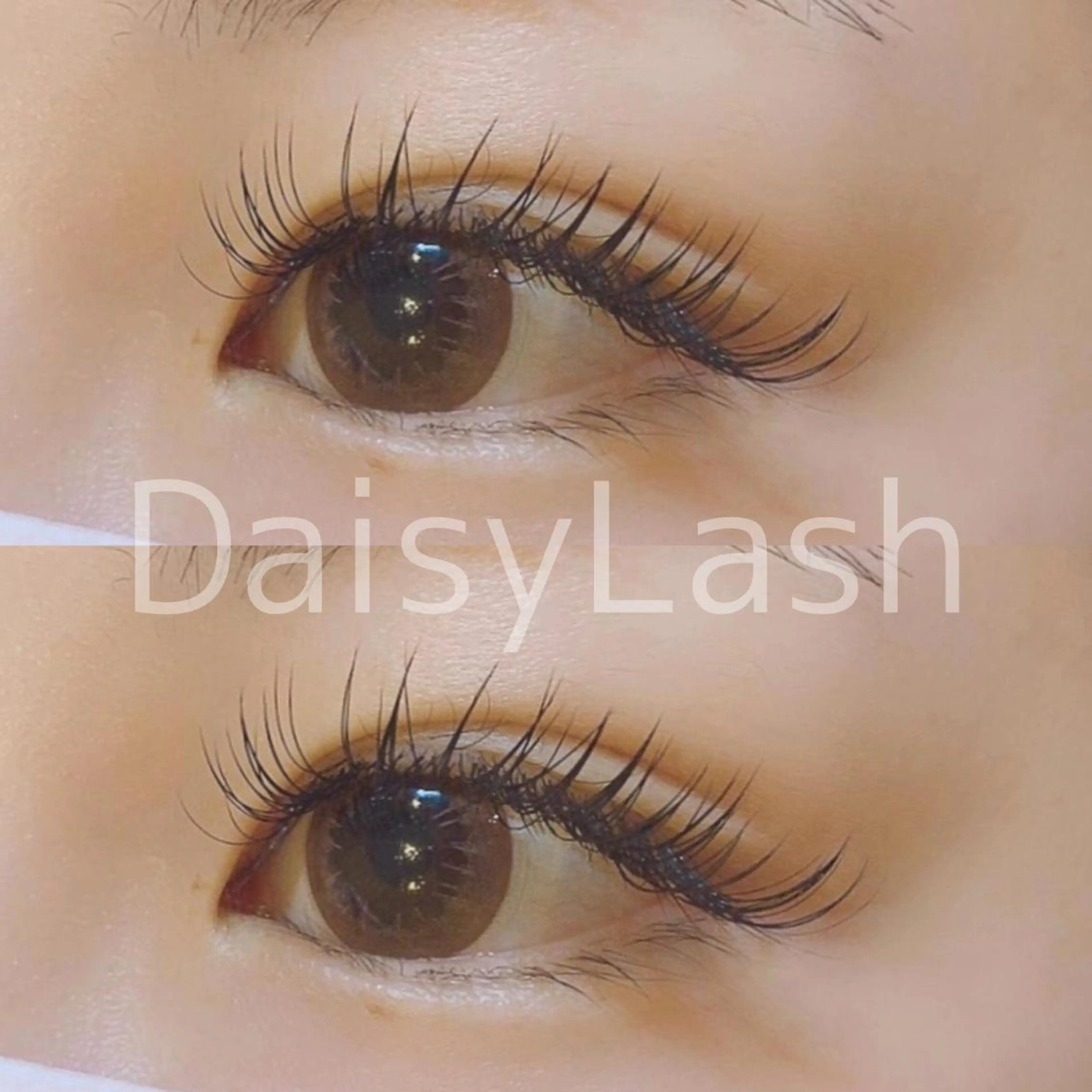 マツエク・マツパ DaisyLash 京橋店のマツエク・マツパデザイン