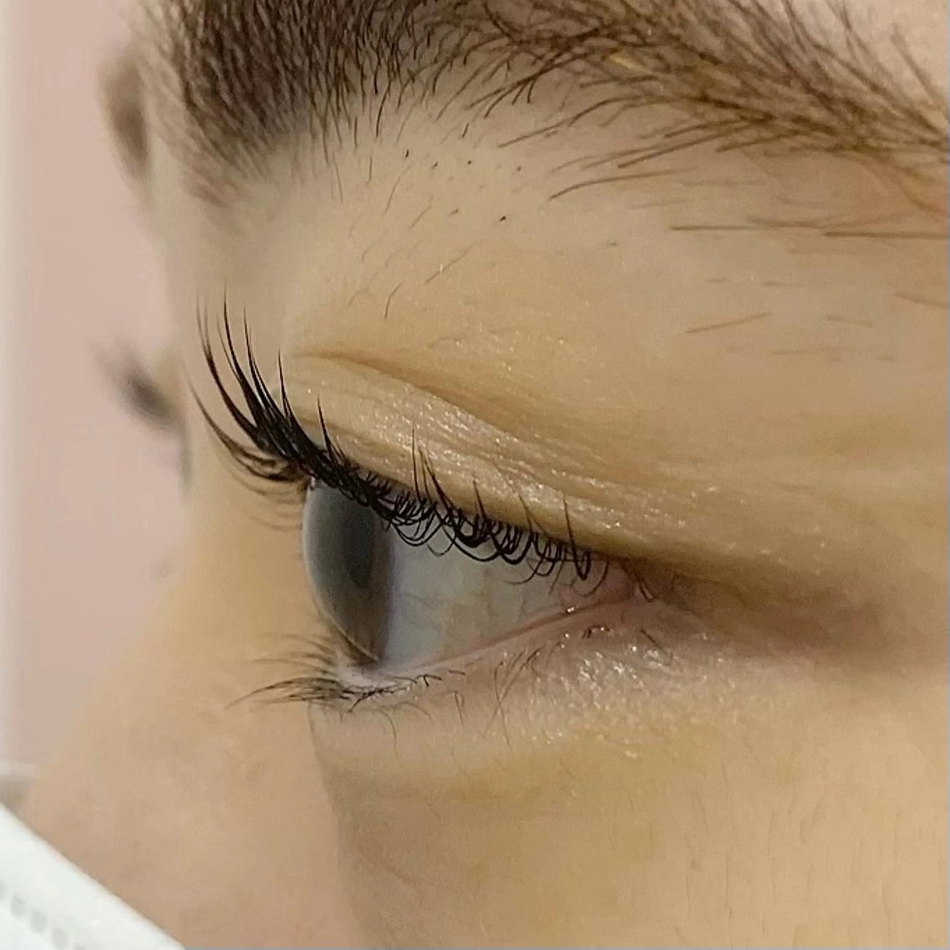 マツエク・マツパ パリジェンヌラッシュリフト Celeste Venus所属・🧸Celeste Venusのマツエク・マツパデザイン