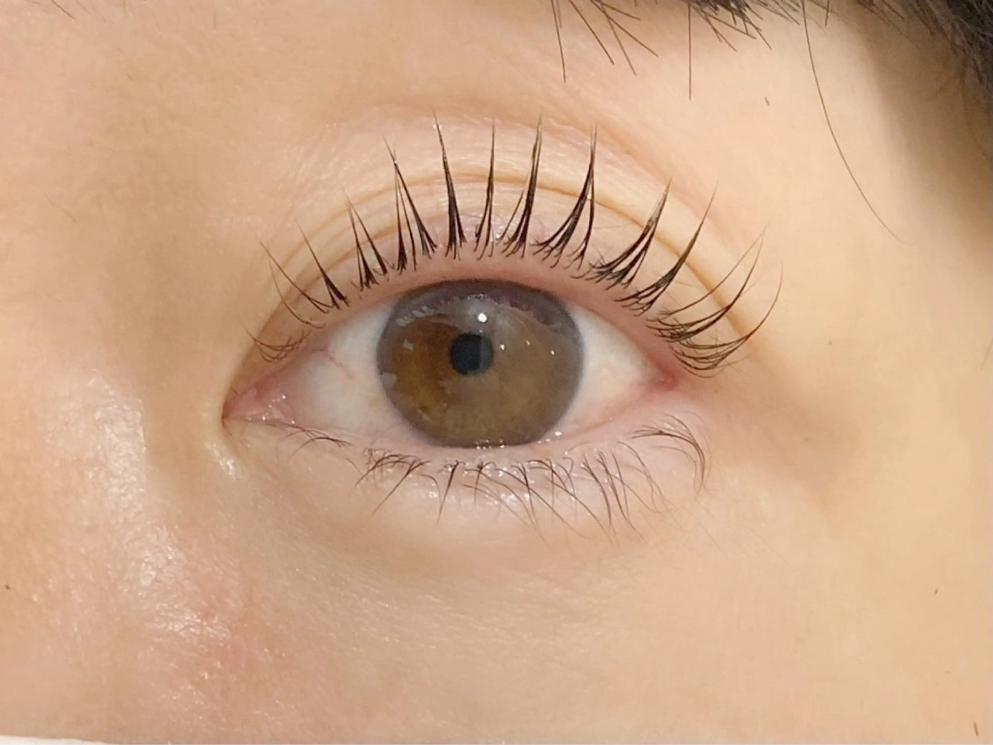 マツエク・マツパ 🍀 辻 美優 🍀の眉毛・アイブロウイメージ