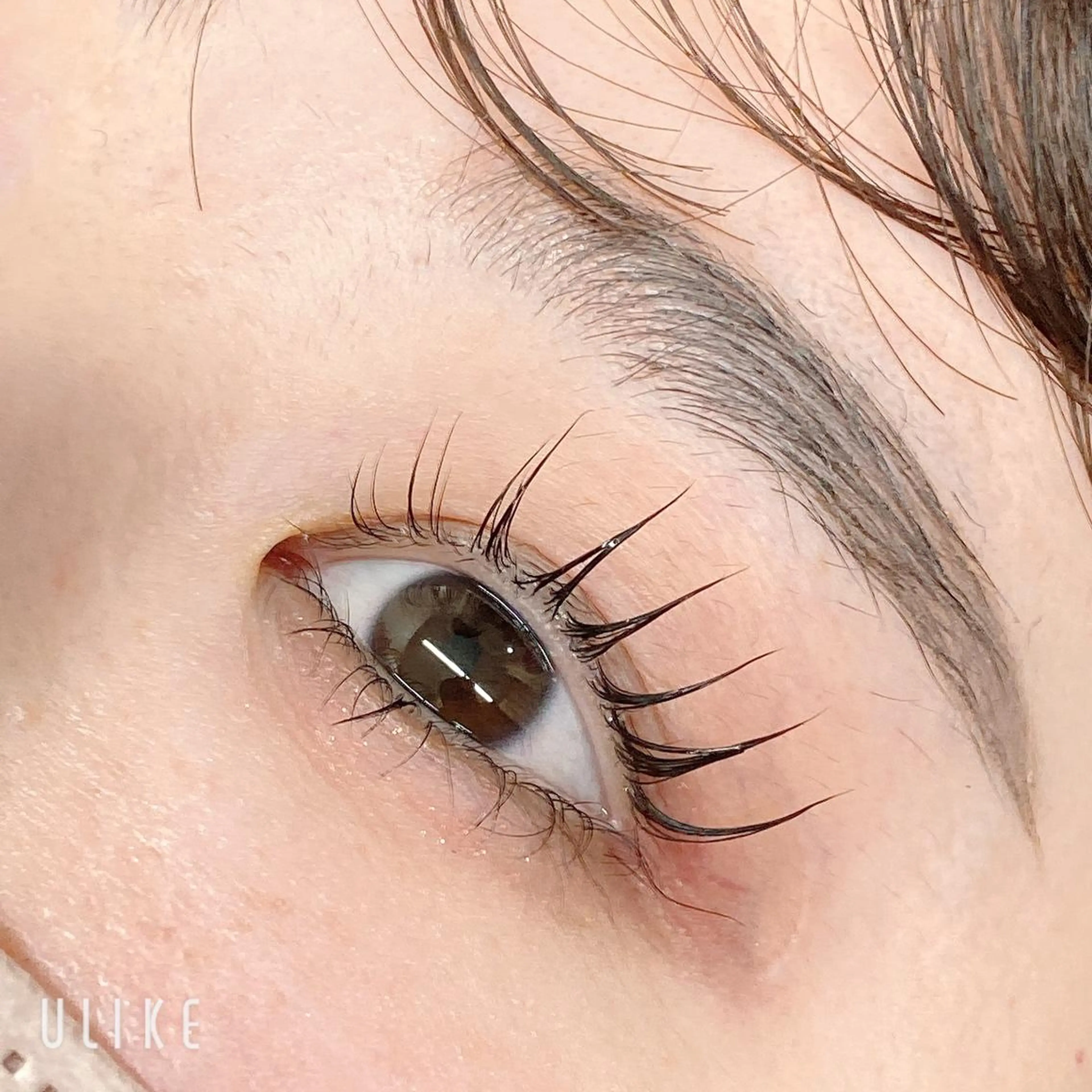 パリジェンヌラッシュリフトの写真