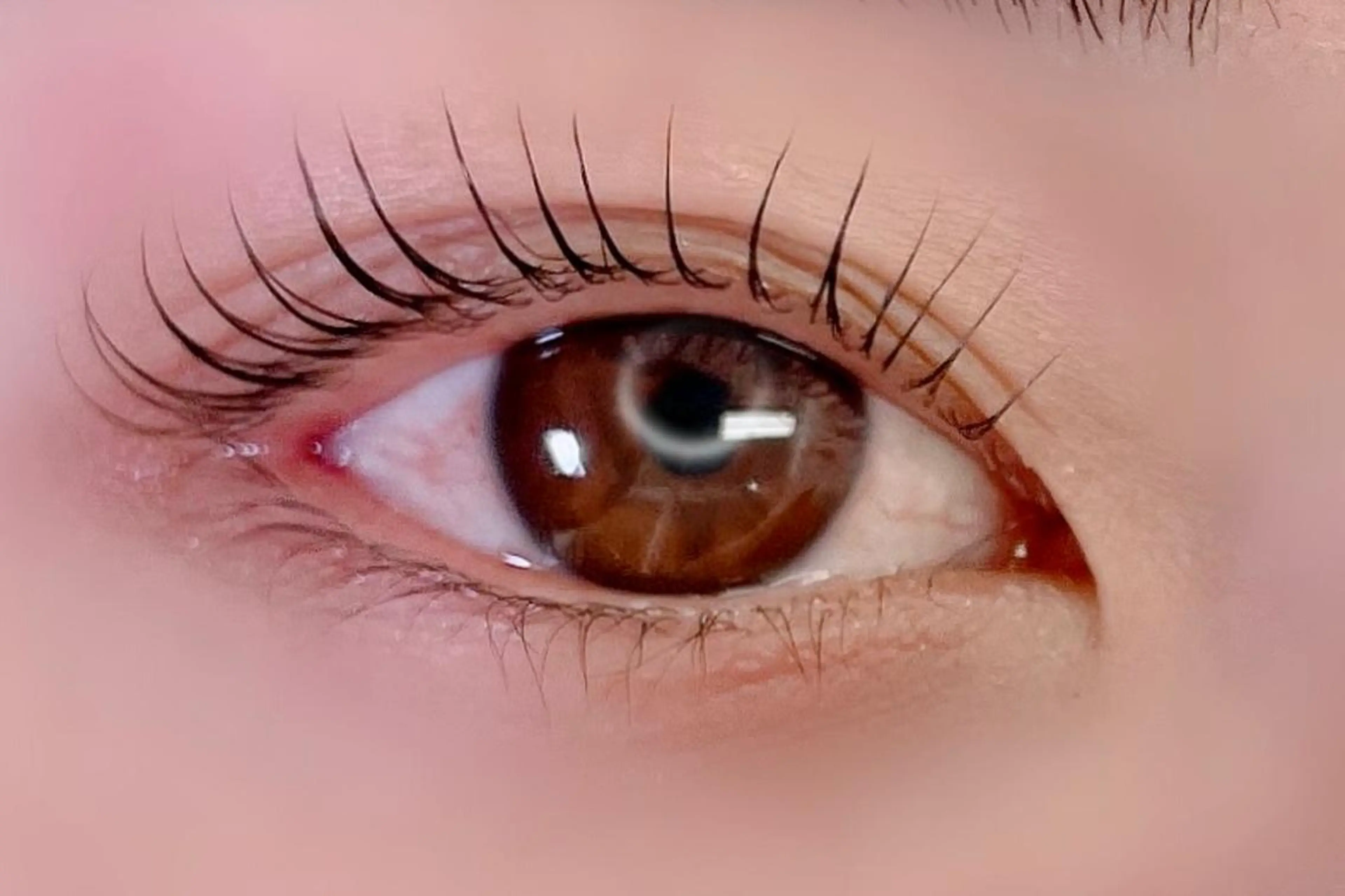 マツエク・マツパ マツパ 大阪福島 韓国まつげ Sayaka🤍🐩のマツエク・マツパデザイン