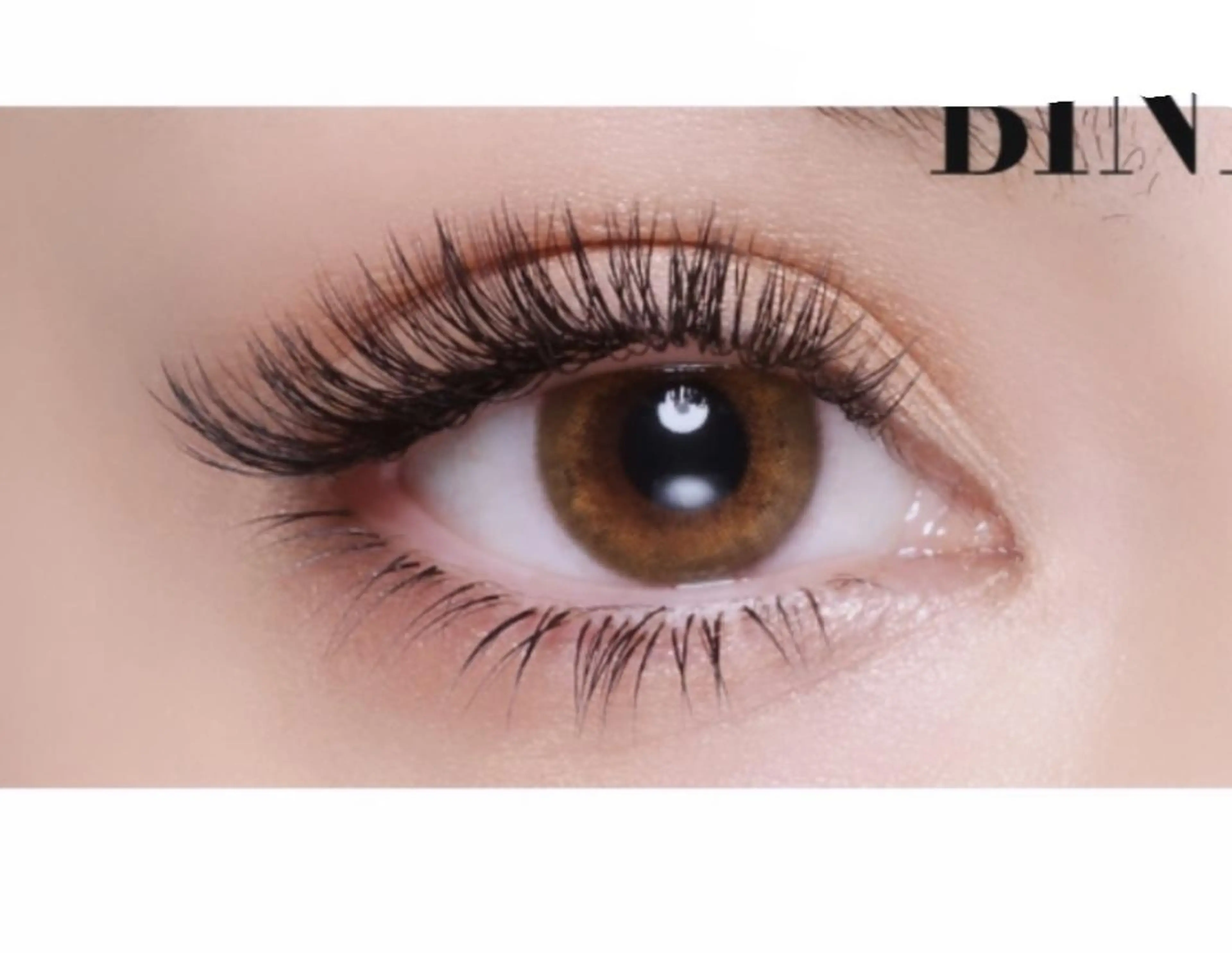 【上下🉐エクステ🉐】240本❣️【初回オフ無料】✨振り分け本数は自由✨フラットラッシュ[上180本/下60本]の写真