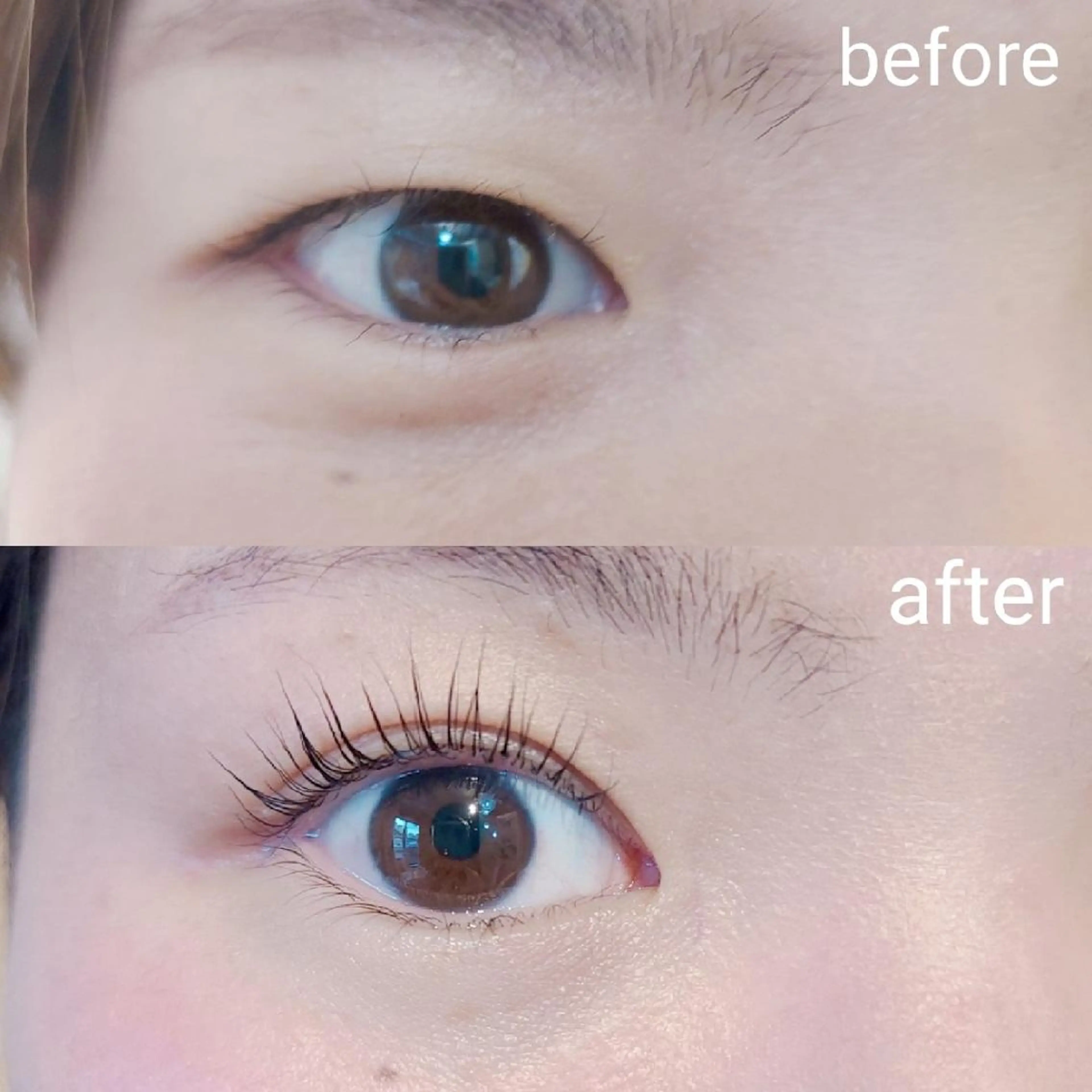 再来　アイリッド上の写真