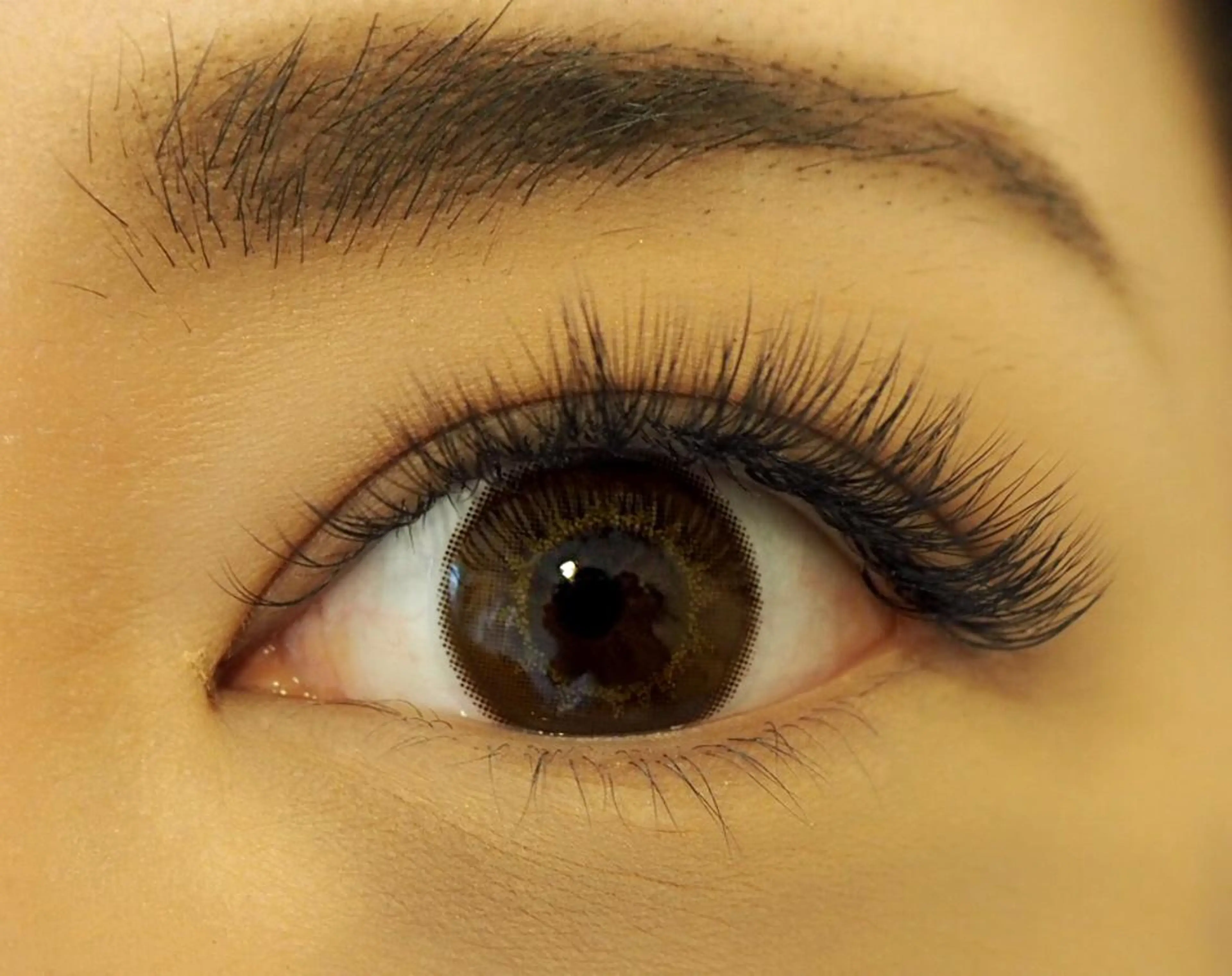 ボリュームラッシュ【80束】¥8000【100束】¥9000の写真