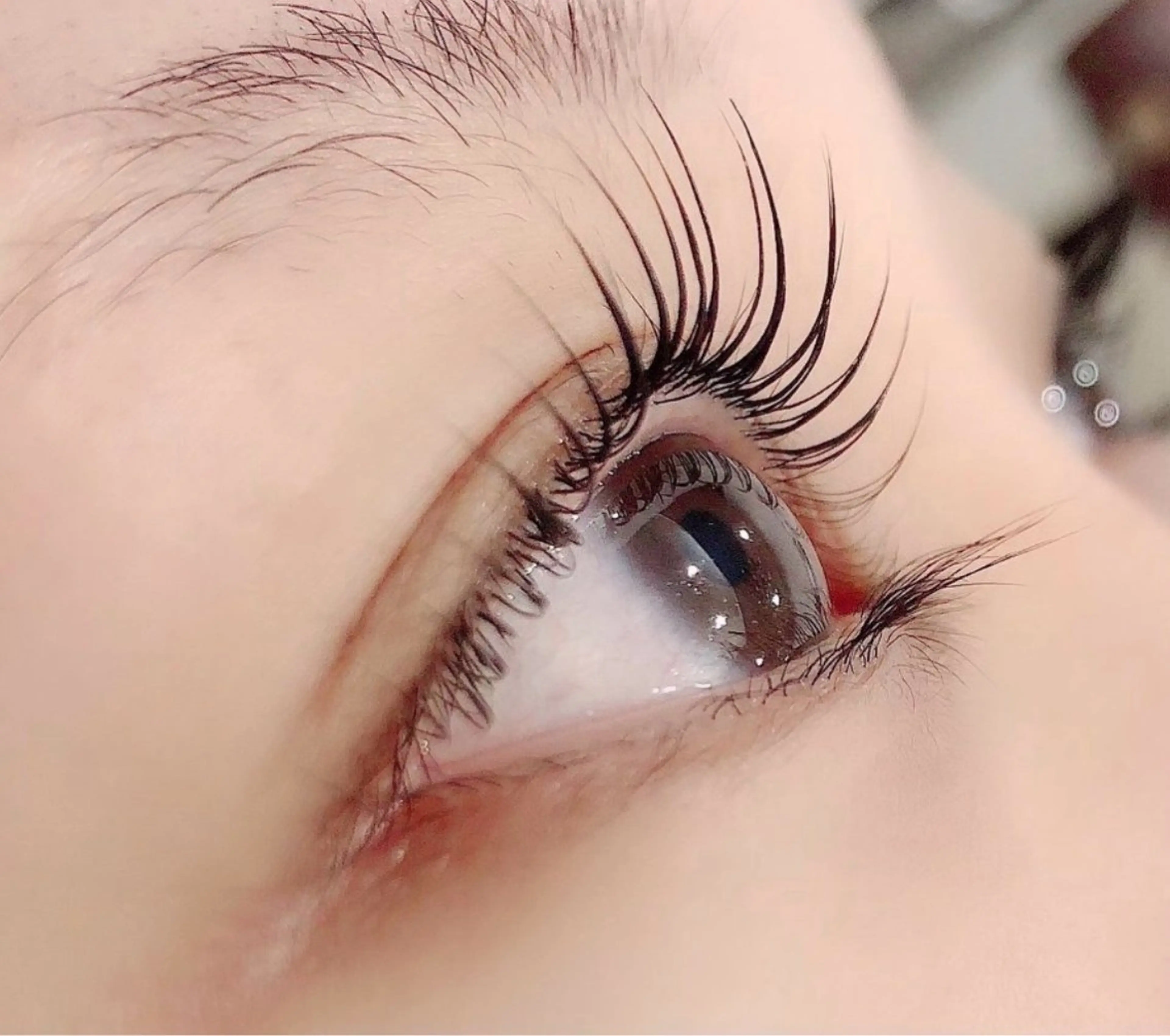 🫧Lush lift🫧~パリジェンヌ可~【束感コーティング付】の写真