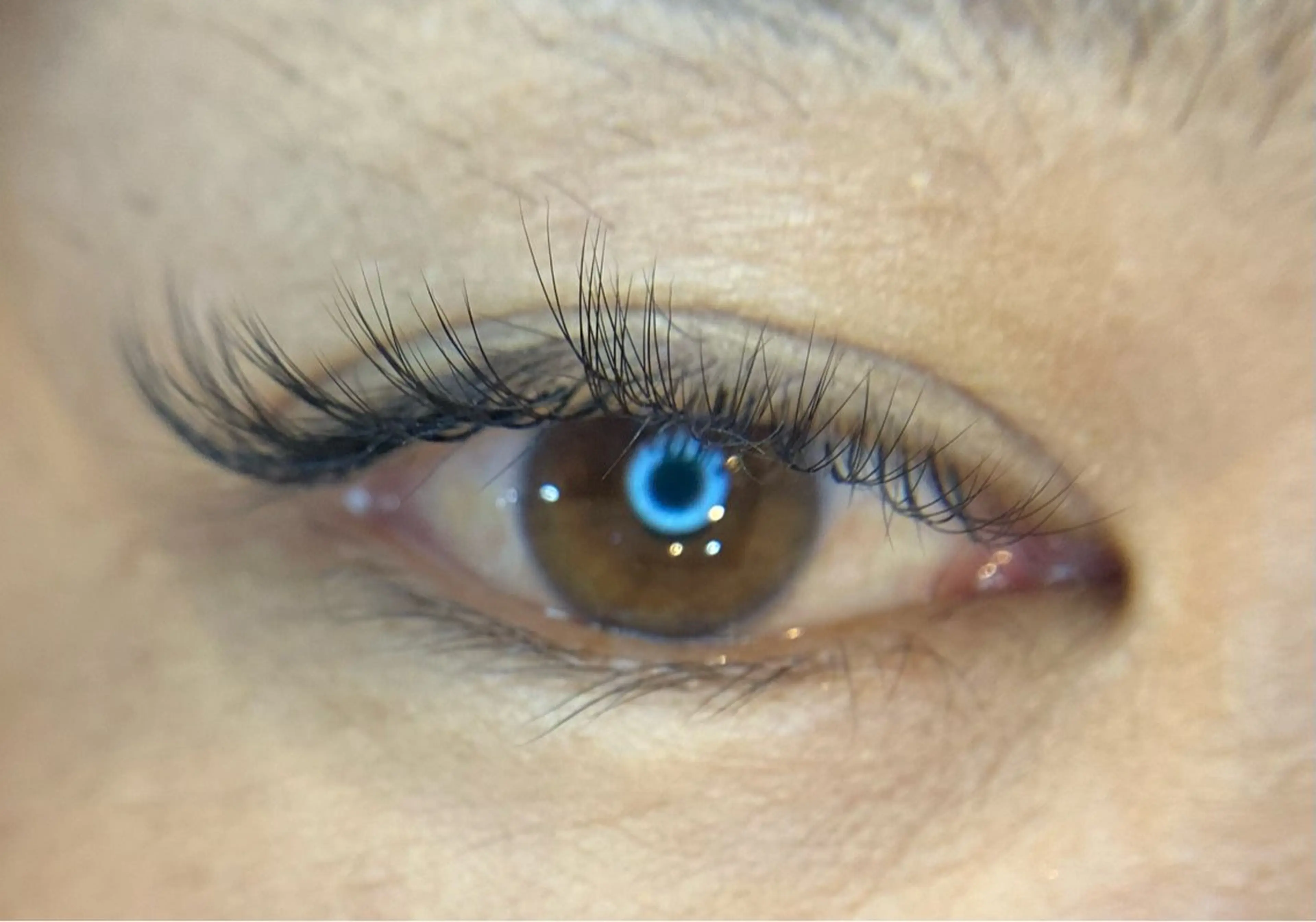 マツエク・マツパ Luana+ Kishiのマツエク・マツパデザイン