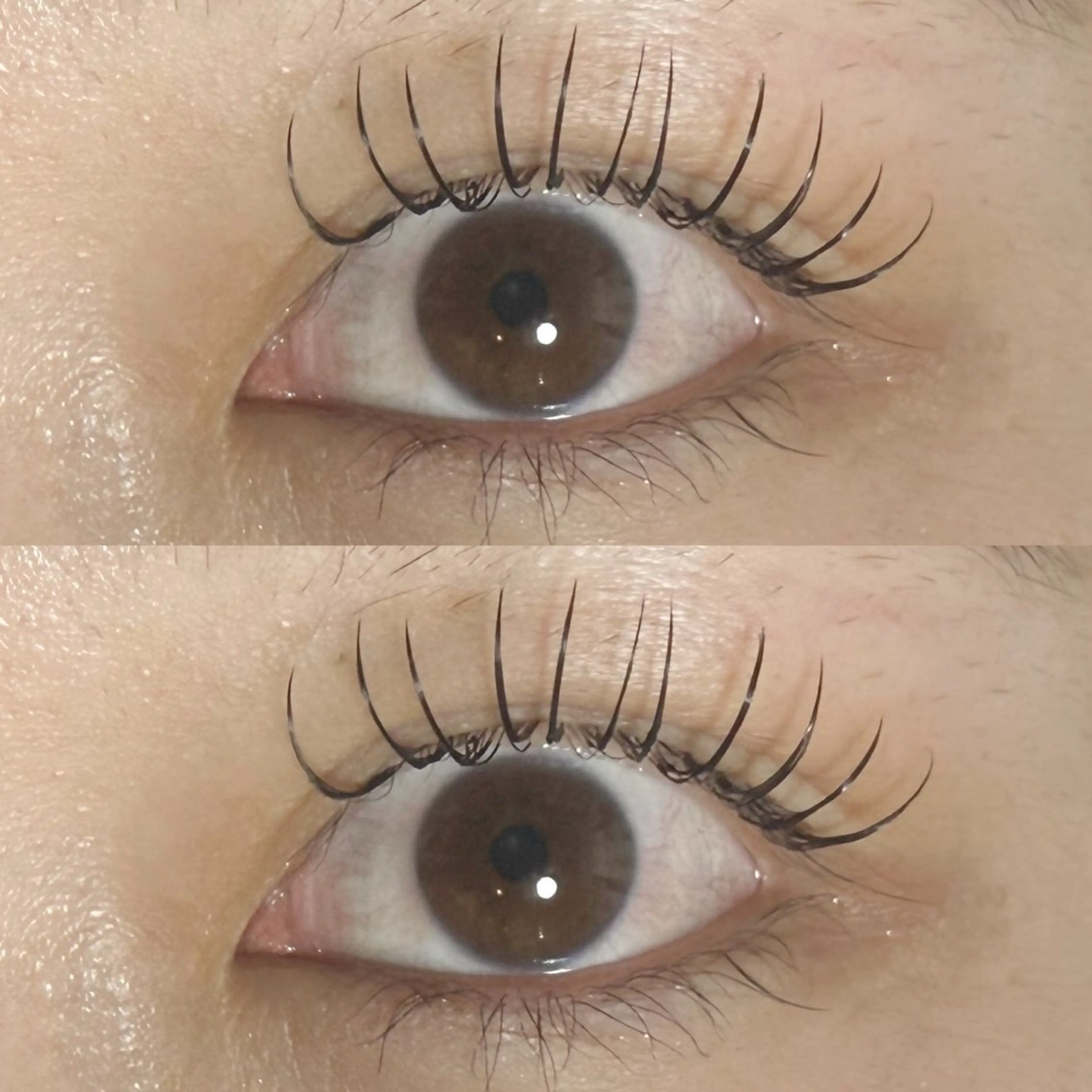 マツエク・マツパ マツエク ◝✩ ᖇIᒍYᑌのマツエク・マツパデザイン