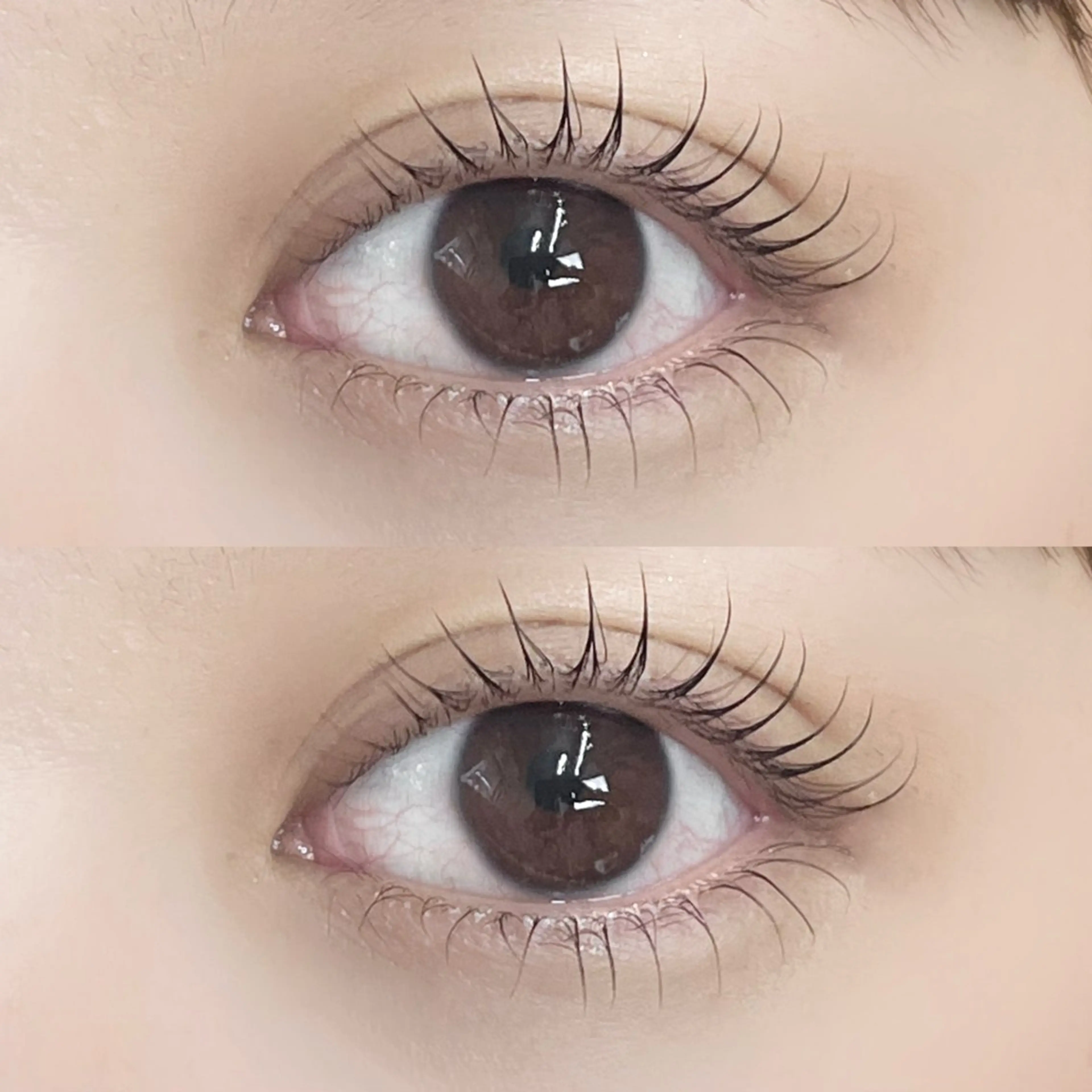 ラッシュリフト <上下> 🎀の写真