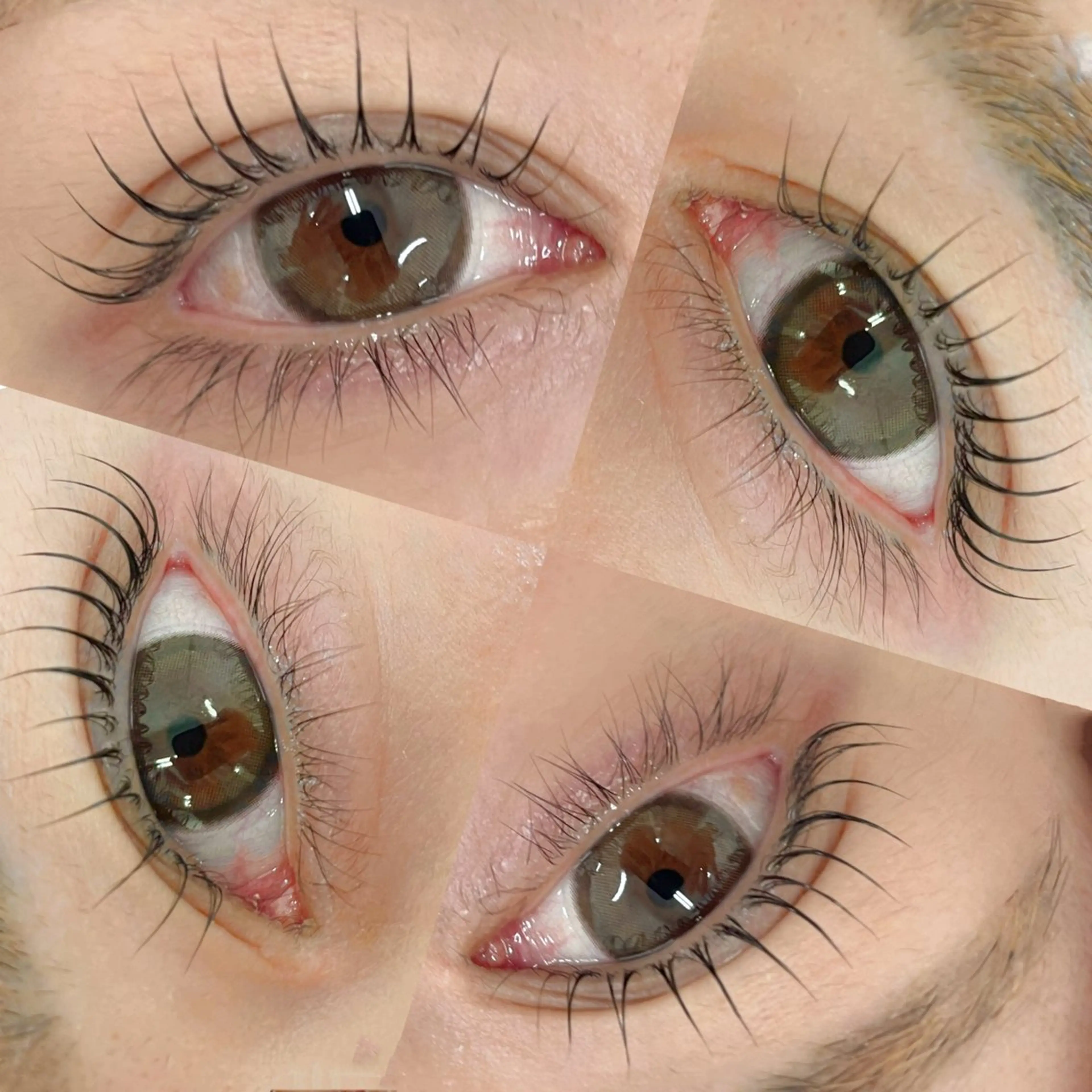 💙盛れる目元✨中顔面短縮🥹上下まつ毛パーマ♪アイシャンプー&高濃度トリートメント&ブラックティント込み🦋の写真