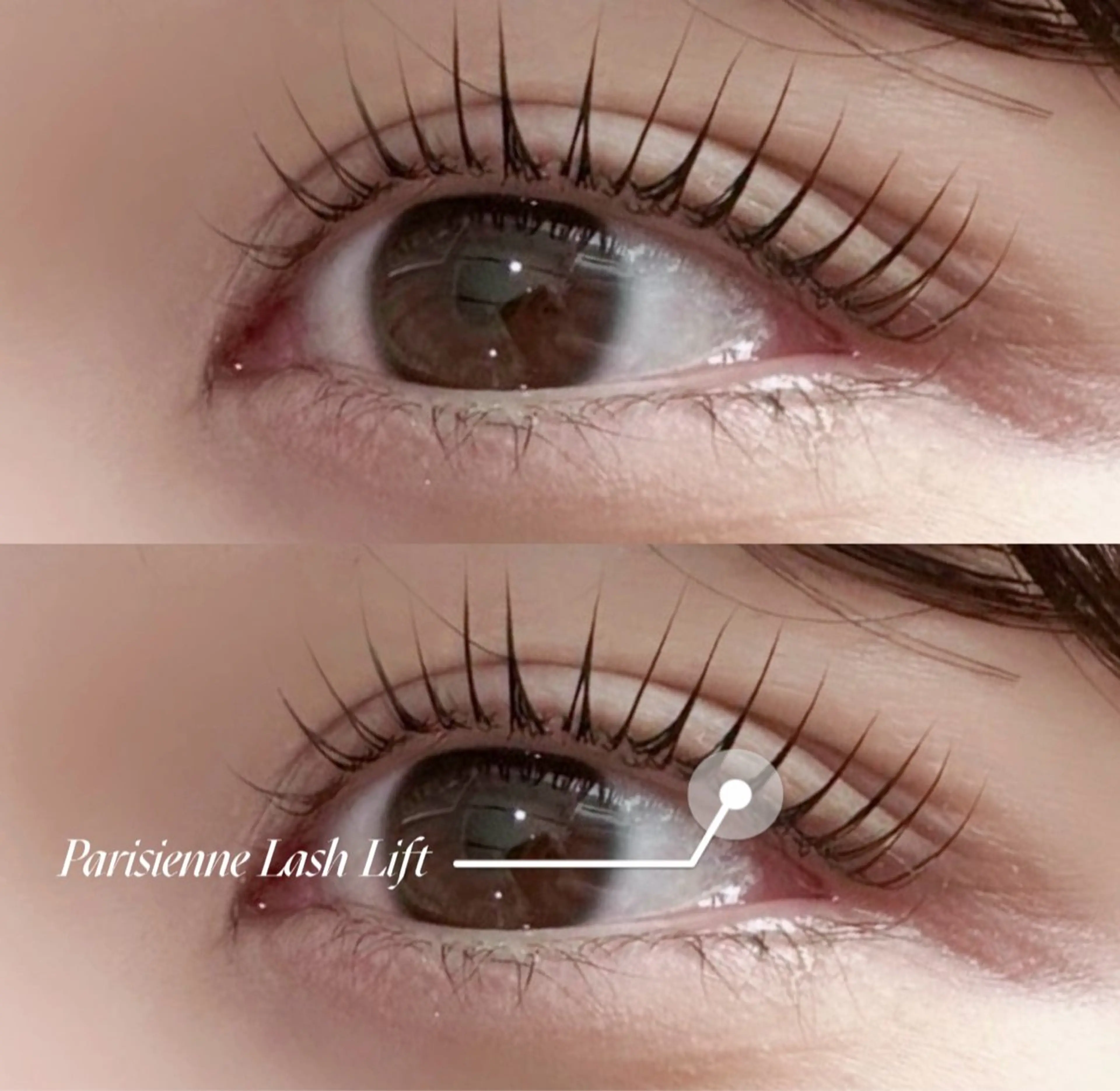 マツエク・マツパ マツパ Myro mikiの眉毛・アイブロウイメージ