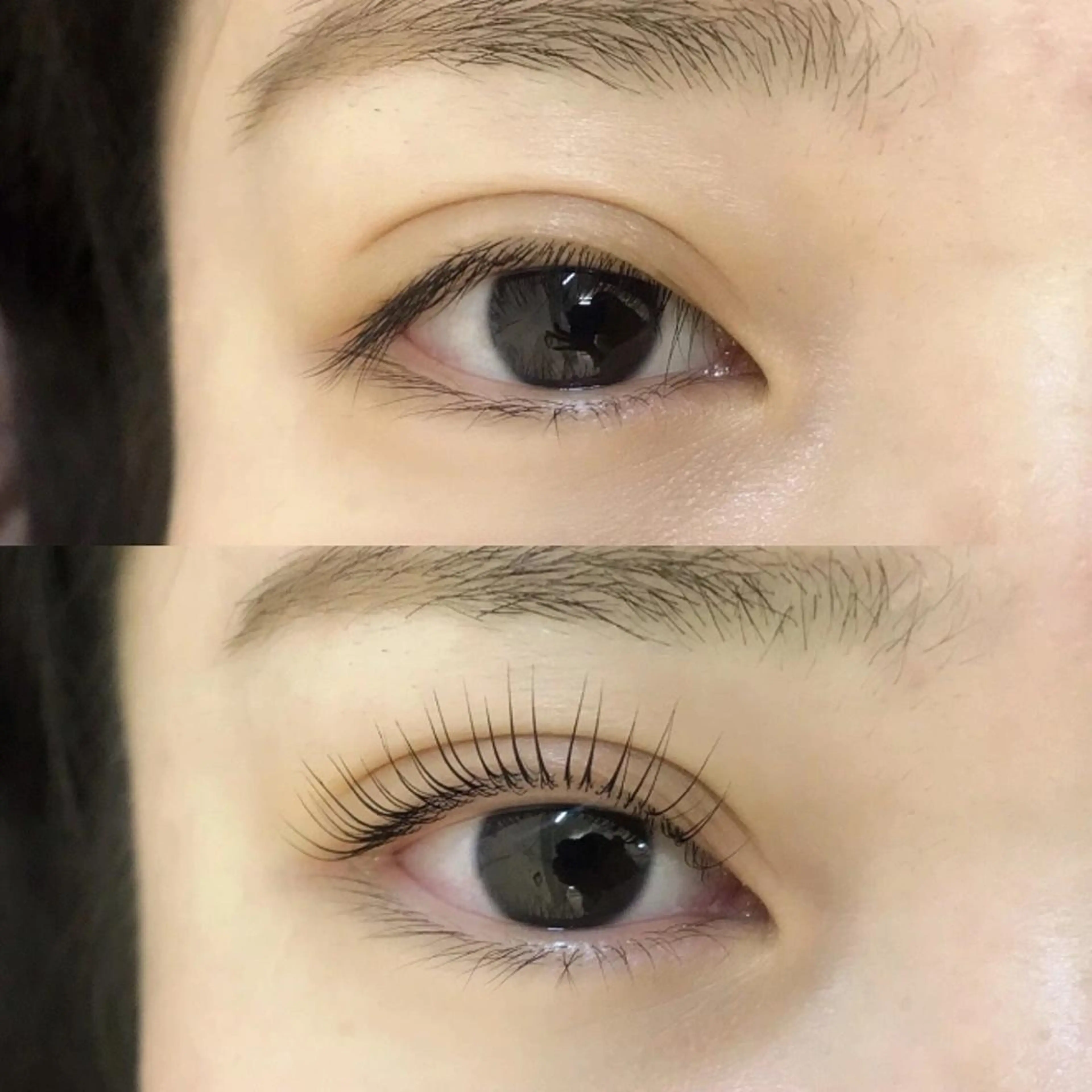 《当店・他店》オフのみ単品の写真