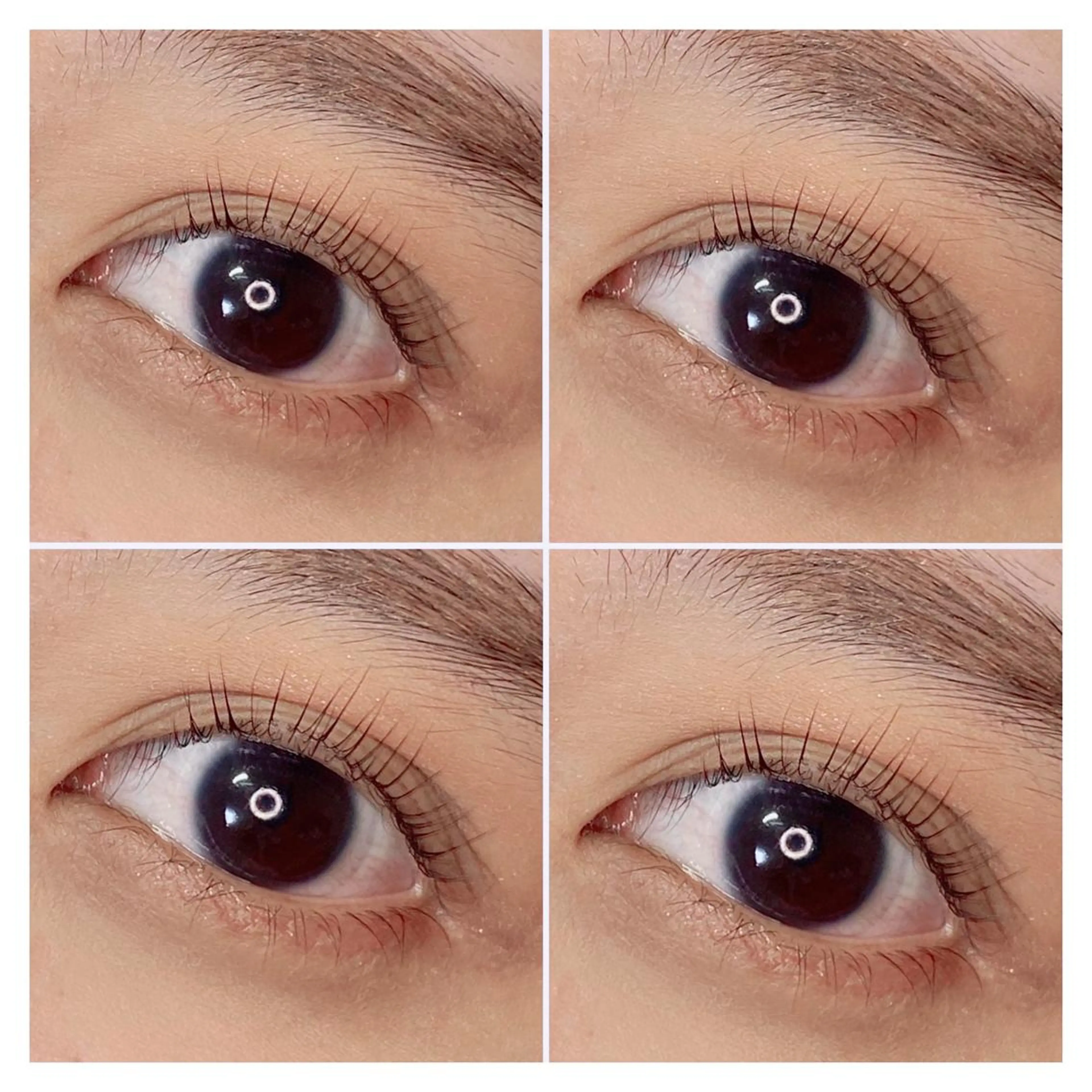 マツエク・マツパ アイラッシュサロン ベル所属・belle eyelashの眉毛・アイブロウイメージ