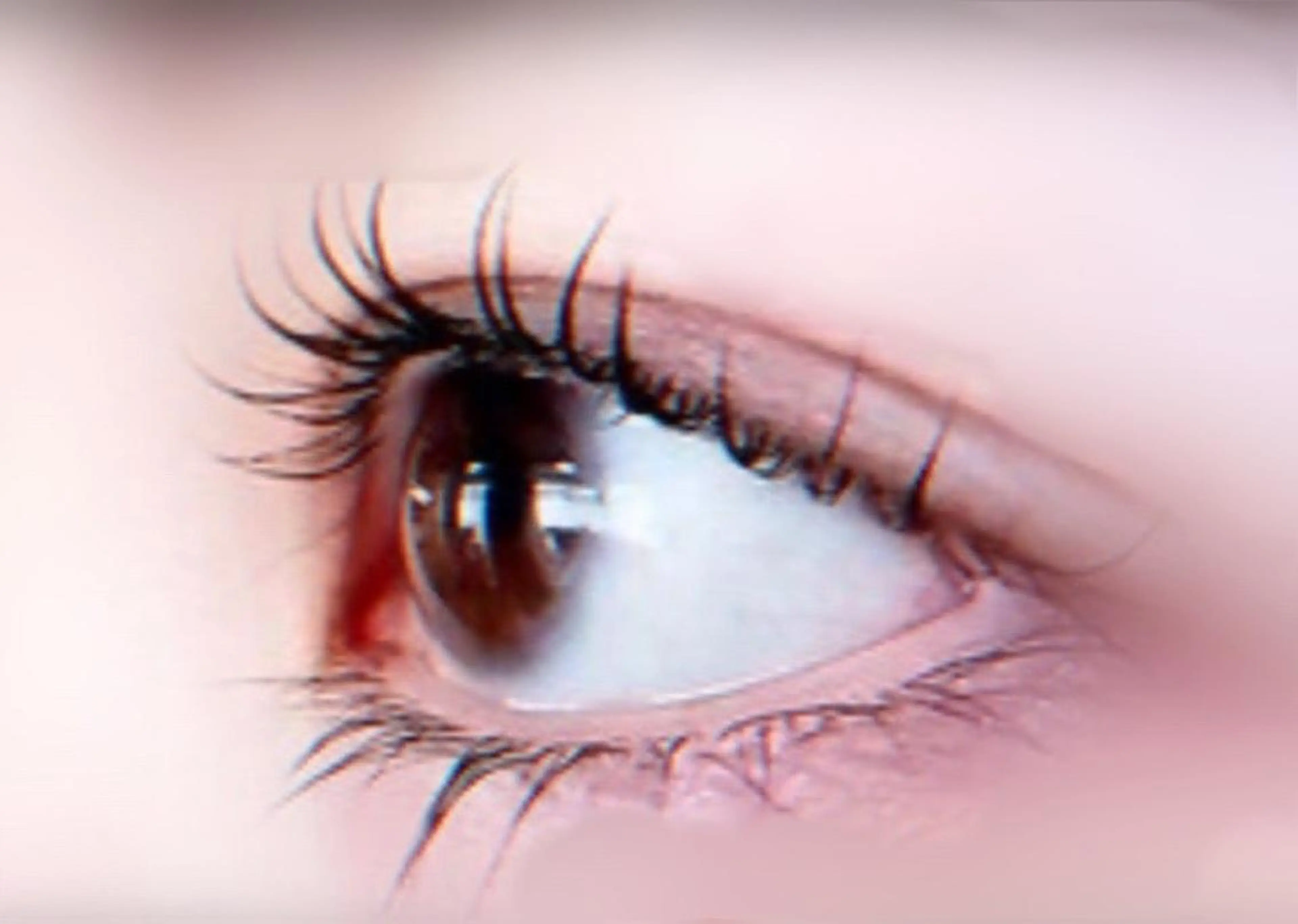 マツエク・マツパ パリジェンヌラッシュリフト 一重×まつ毛パーマ ネイル& 脱毛サロン　Lのマツエク・マツパデザイン