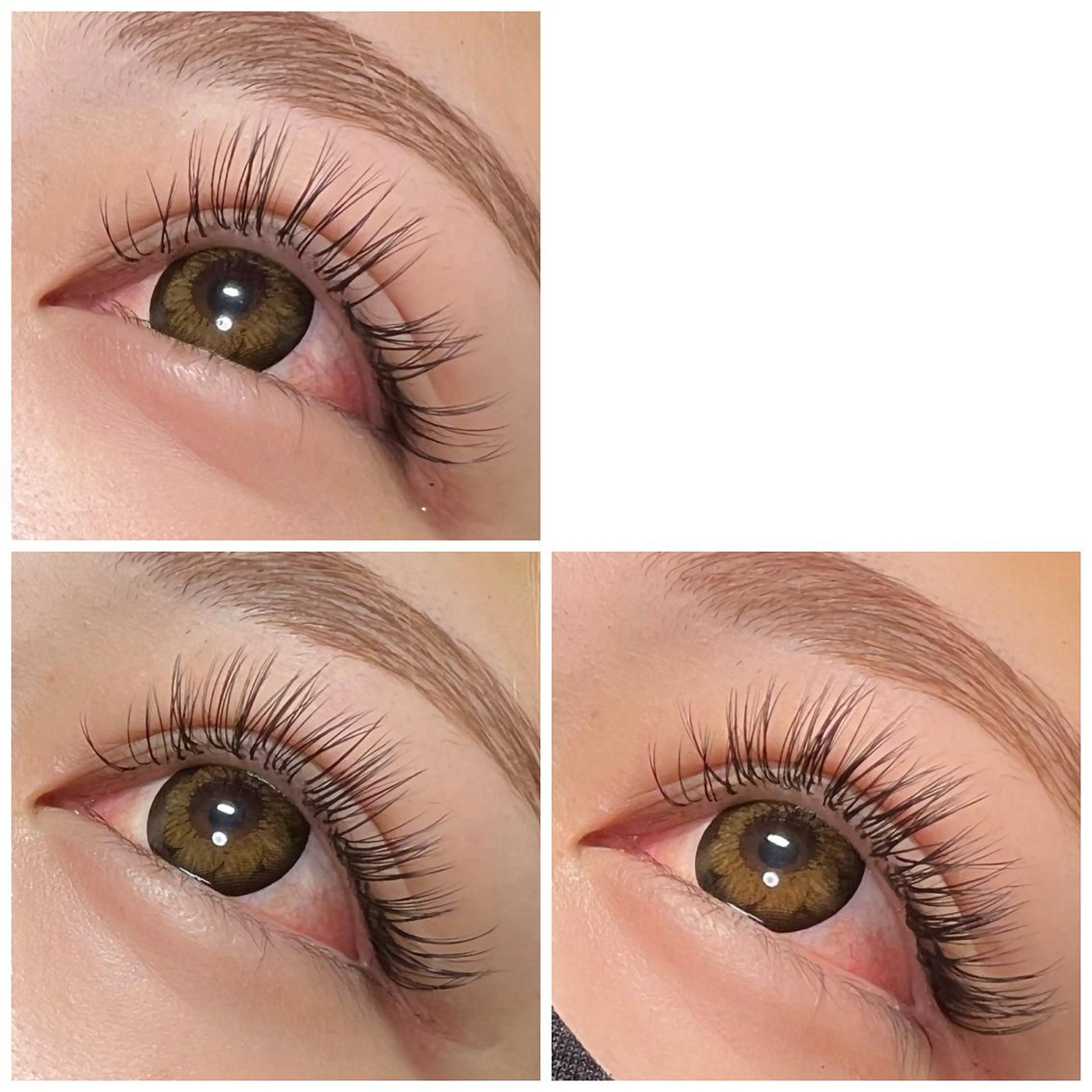 バインドロック🍒100束✨初回オフ無料の写真