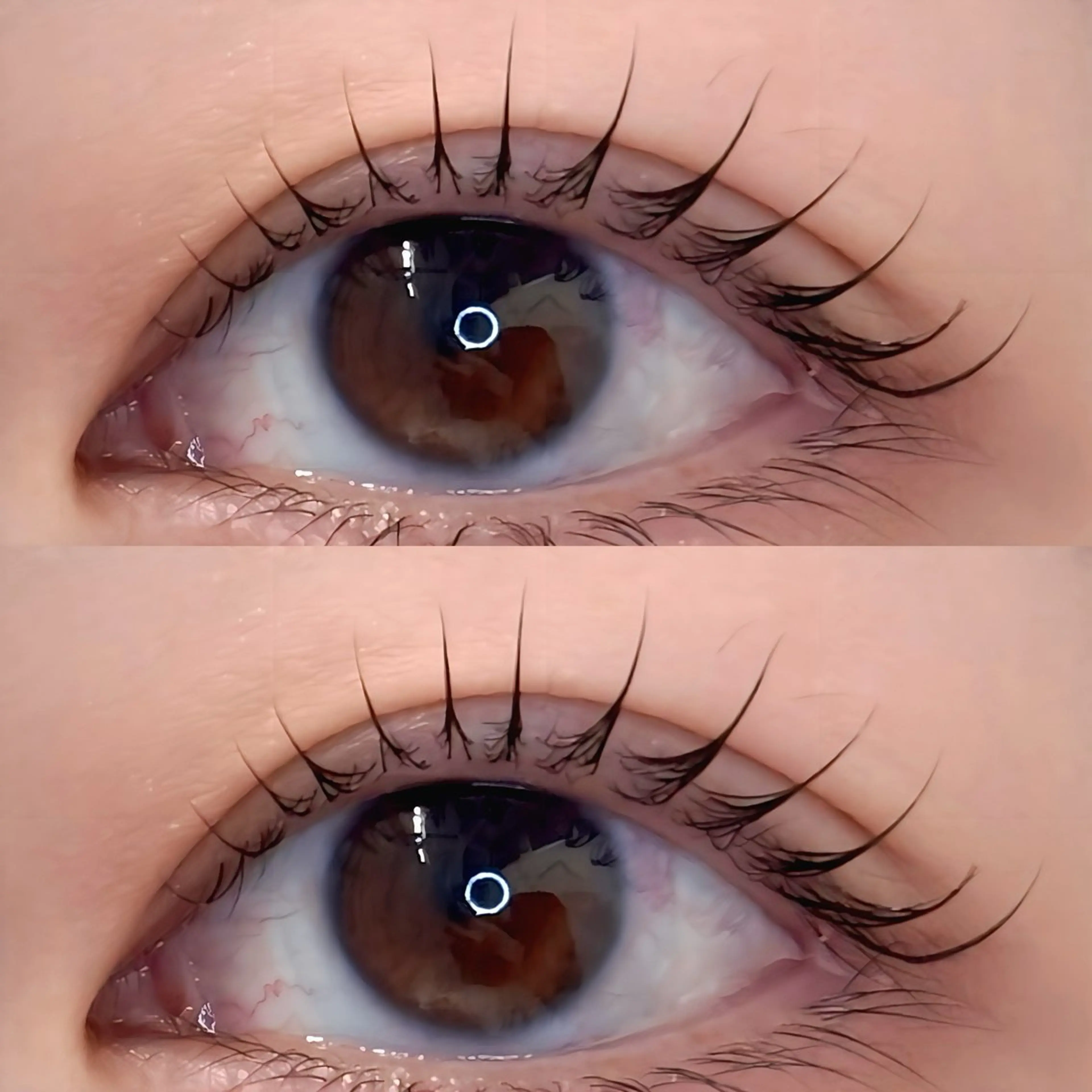 マツエク・マツパ 🐰🫧fein. moyu🐰🫧のマツエク・マツパデザイン